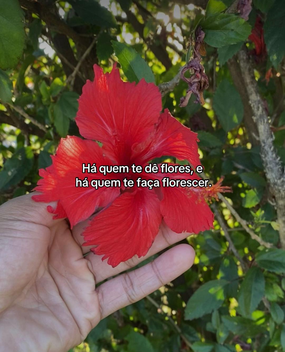 @daniel_oliveira