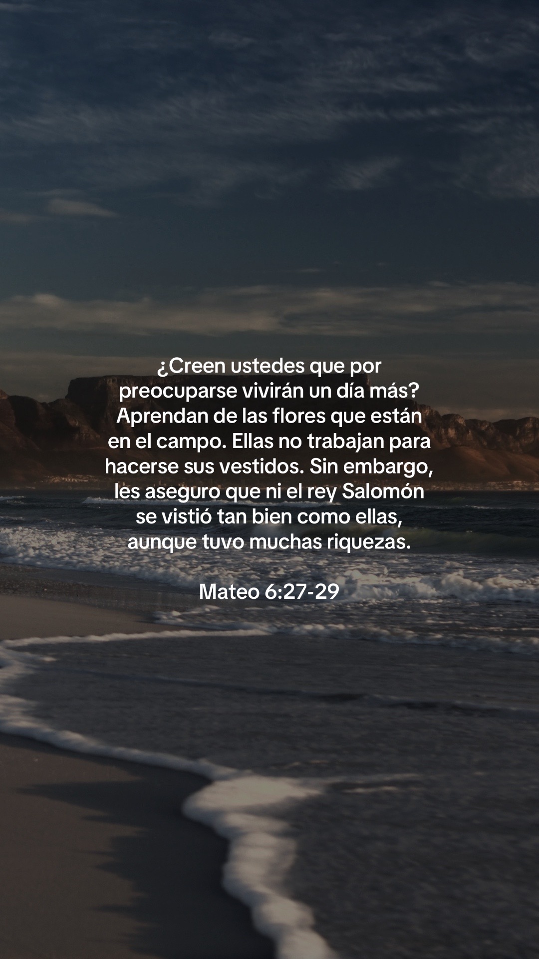 @vidabonita❤️&zwj;🩹