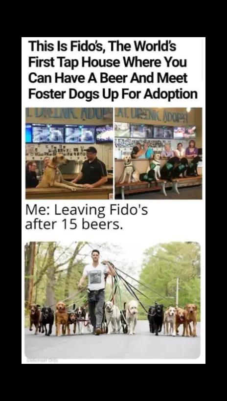 @Bearded Toga Dad
