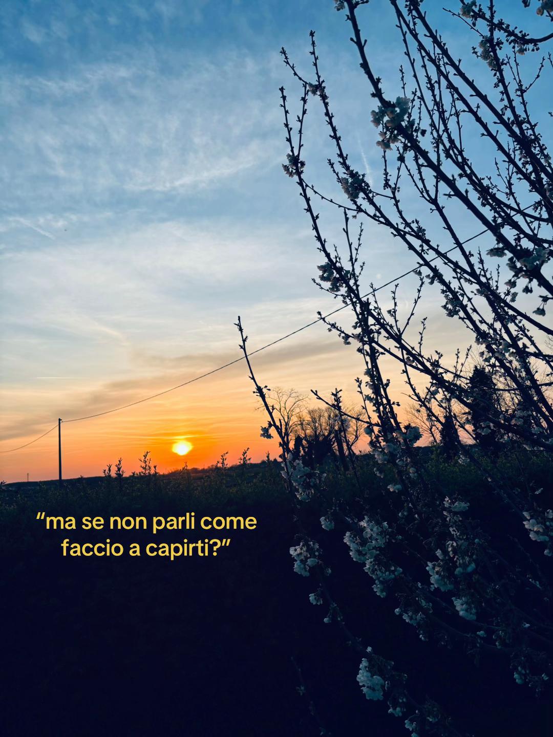 @nene&tovi