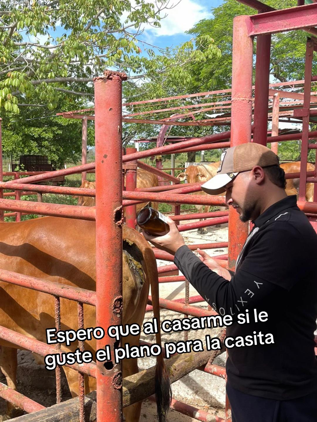 @Luis Fernando Silva 🐎🔥