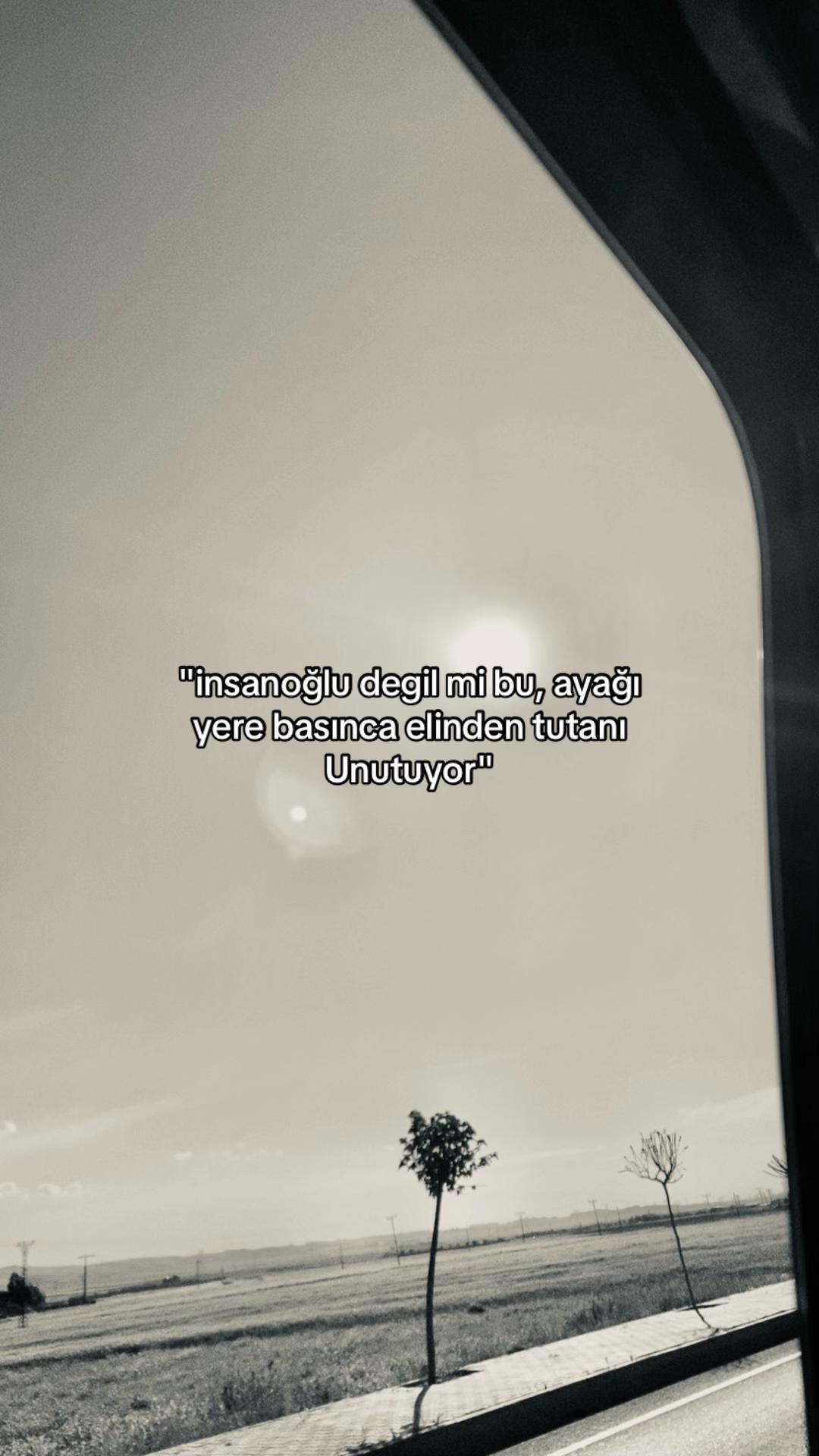 @🕊️
