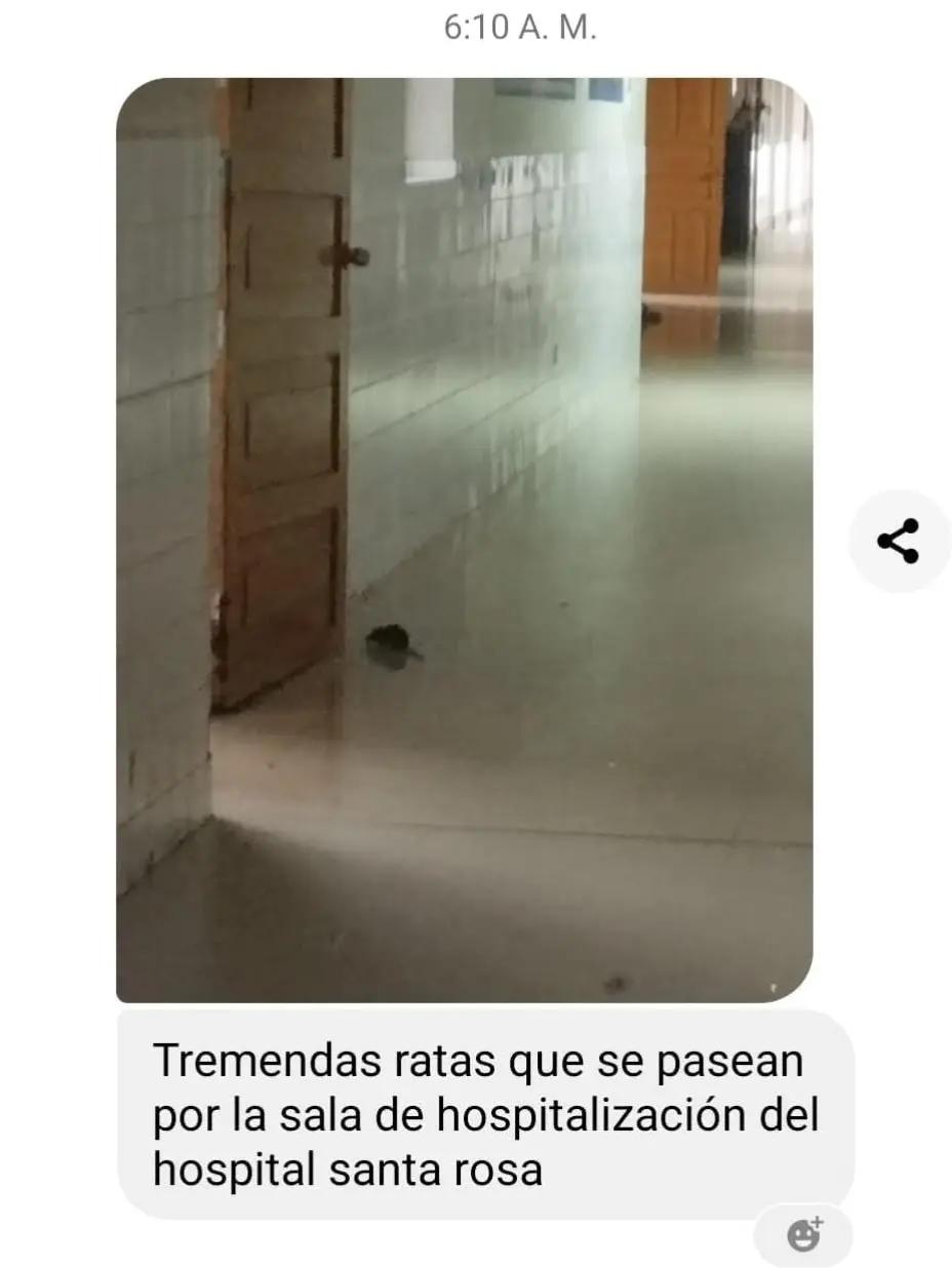 @Howard Cama torres