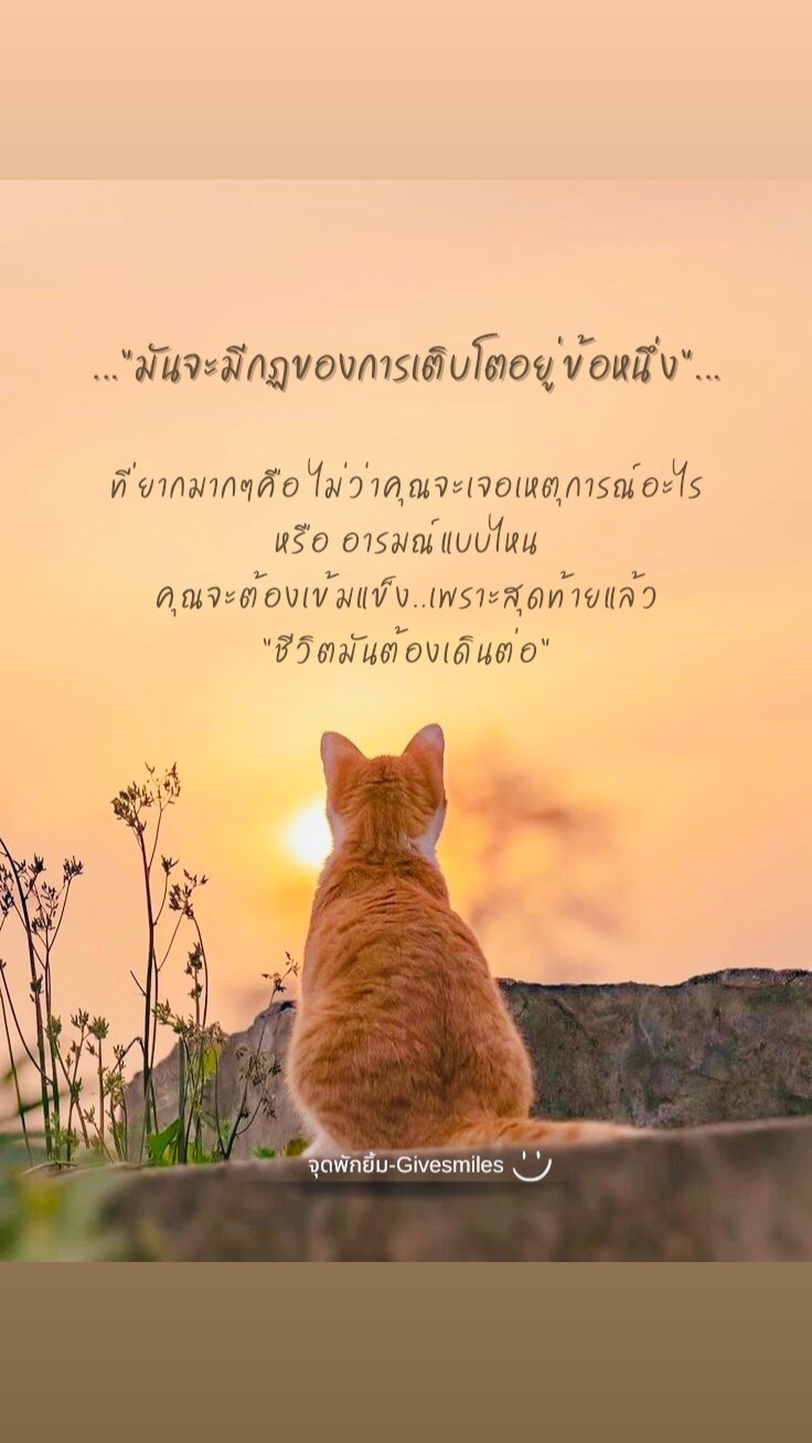 @จุดพักยิ้ม-Givesmiles