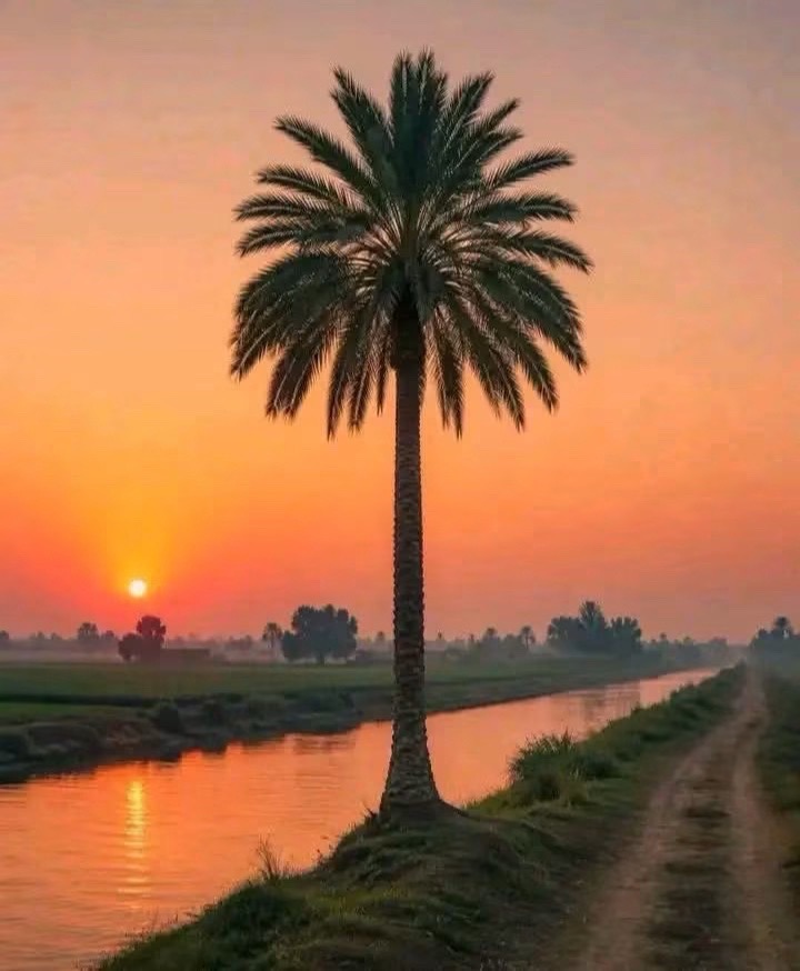 @احمد دغار