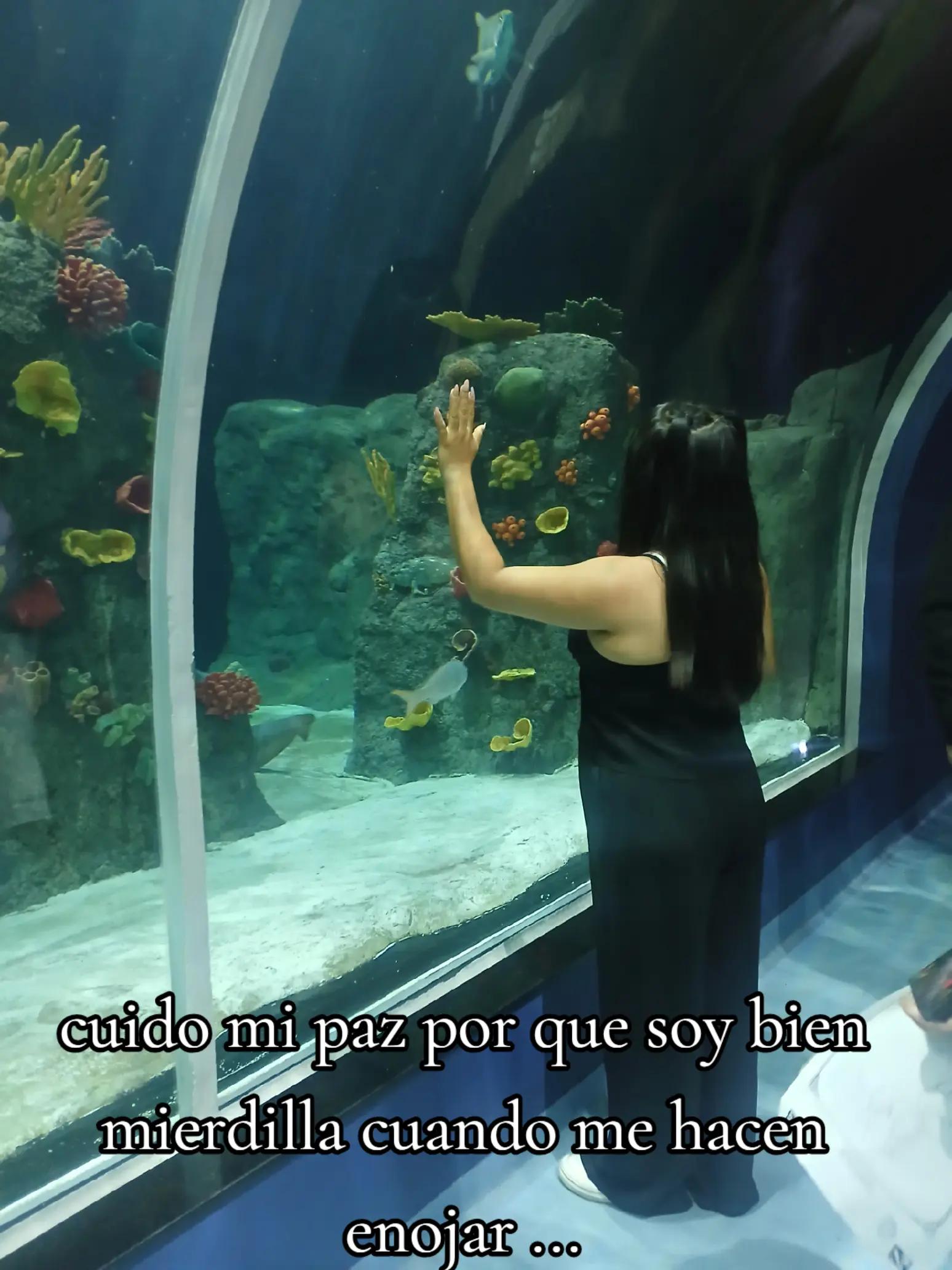 @Berenice Ge