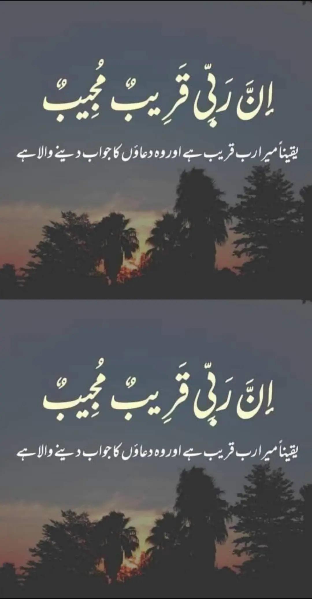 @Shaista Sethi