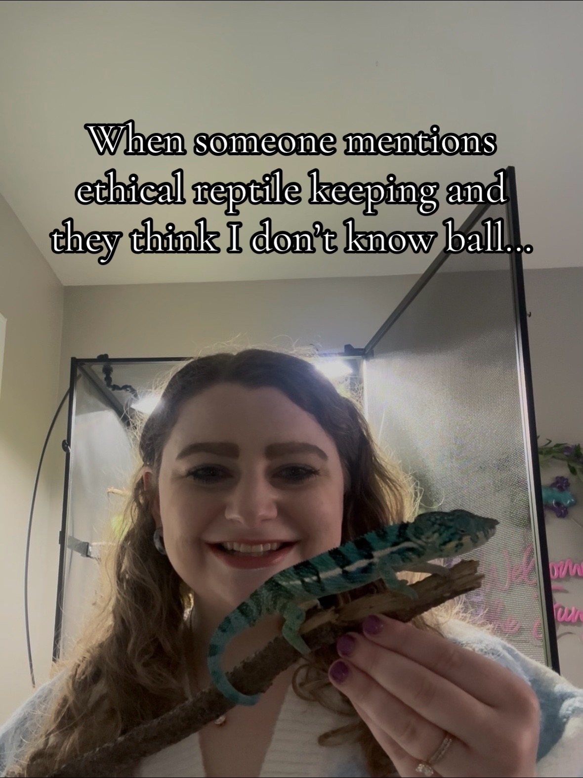 @Megan 🦎 🐈