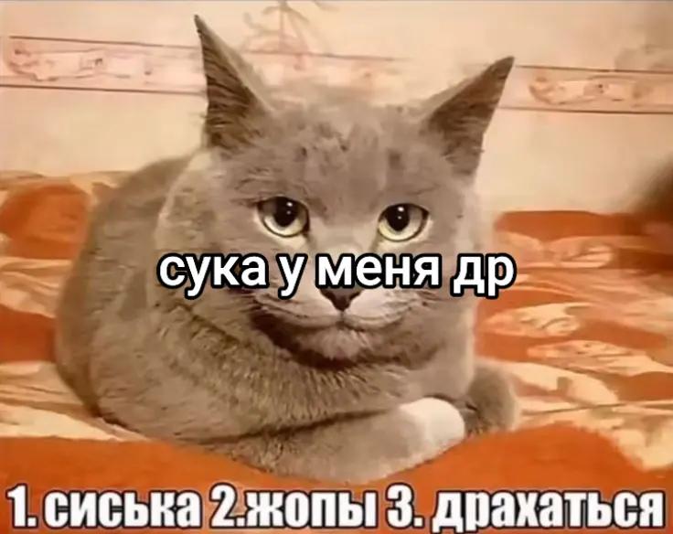 @скрр пау пау