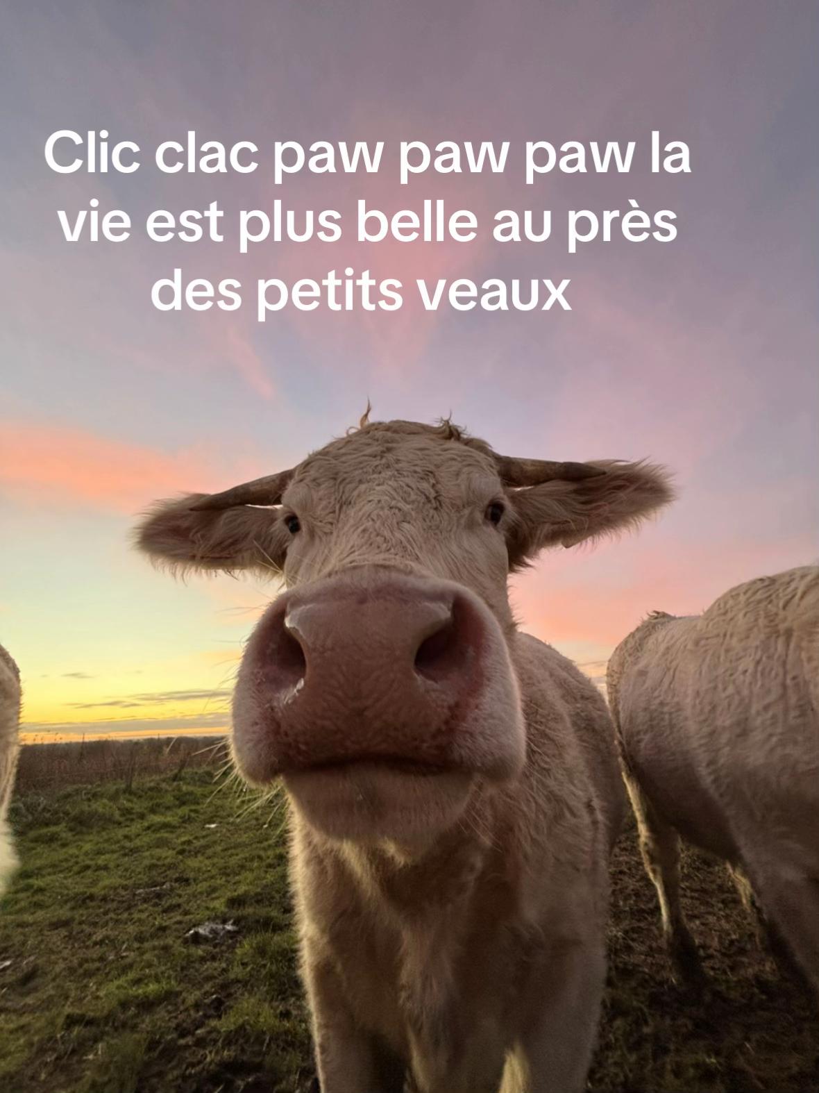 @Juliette 👩🏼&zwj;🌾🌾