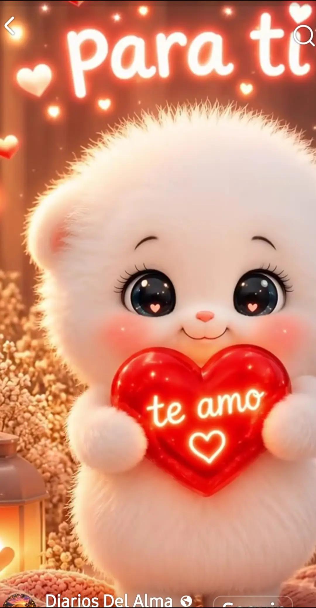@magy