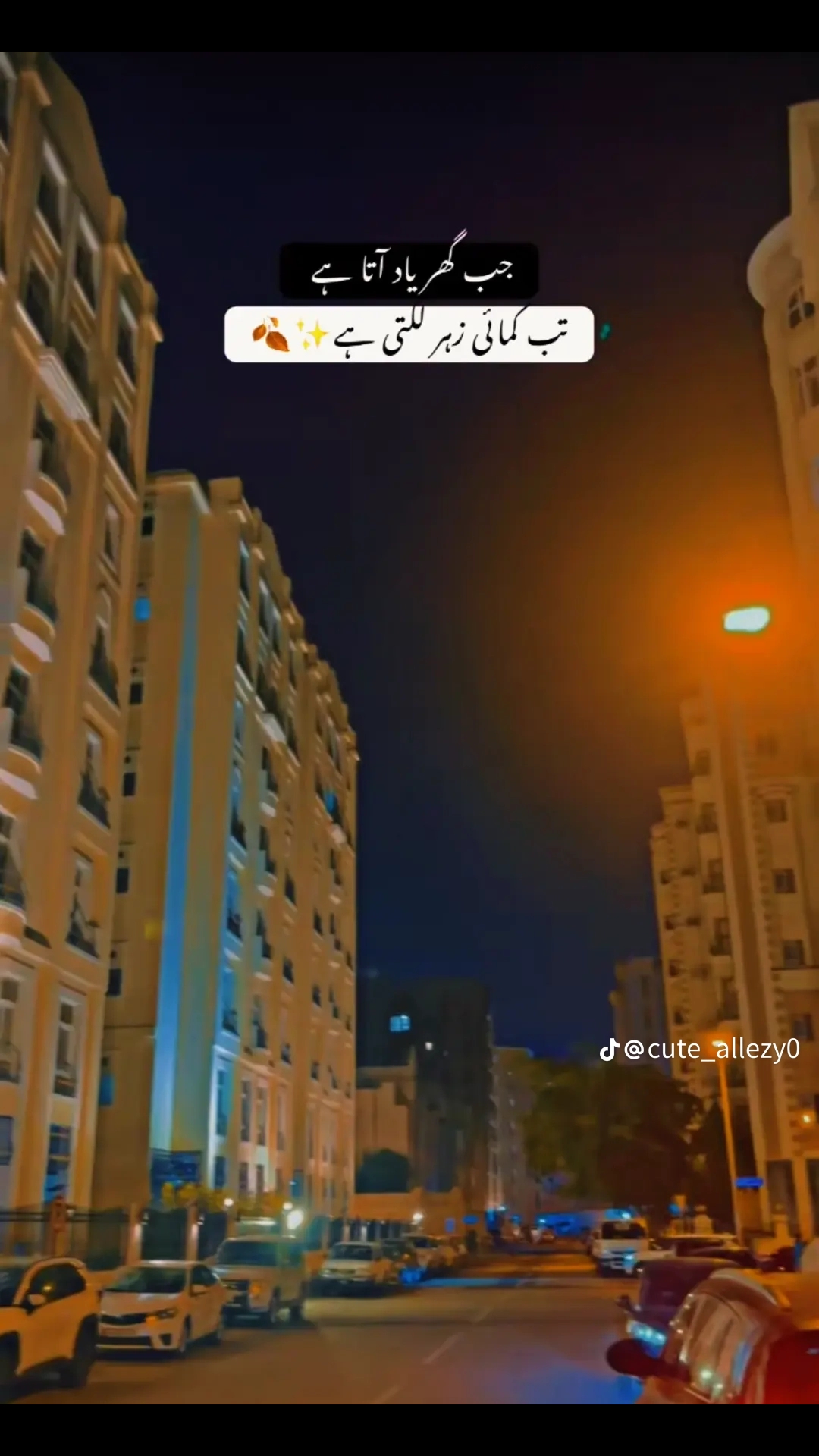 @💫 syed Oman Ala   💫🇴🇲💫
