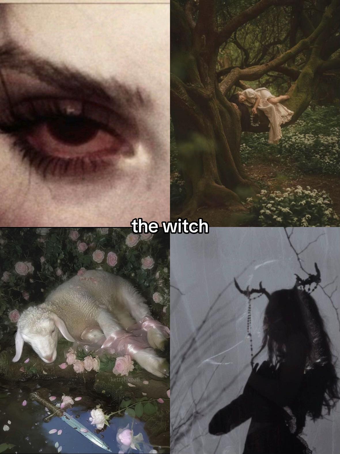 @Nyra Ashvale | Author 🕷️