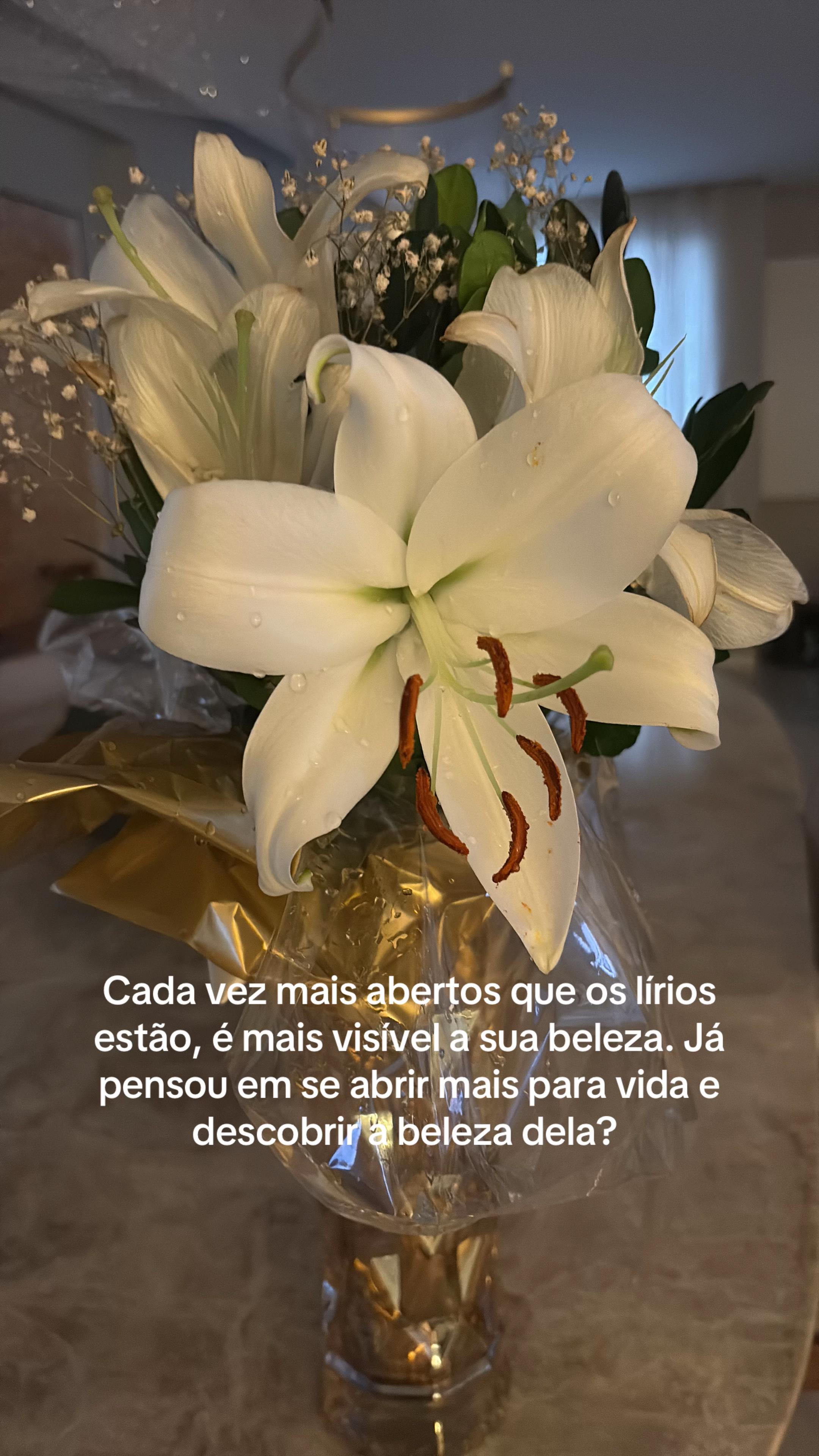 @analuizaopp