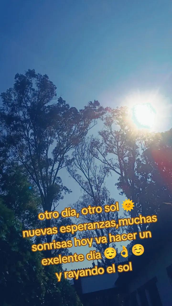 @paloma Alejandre