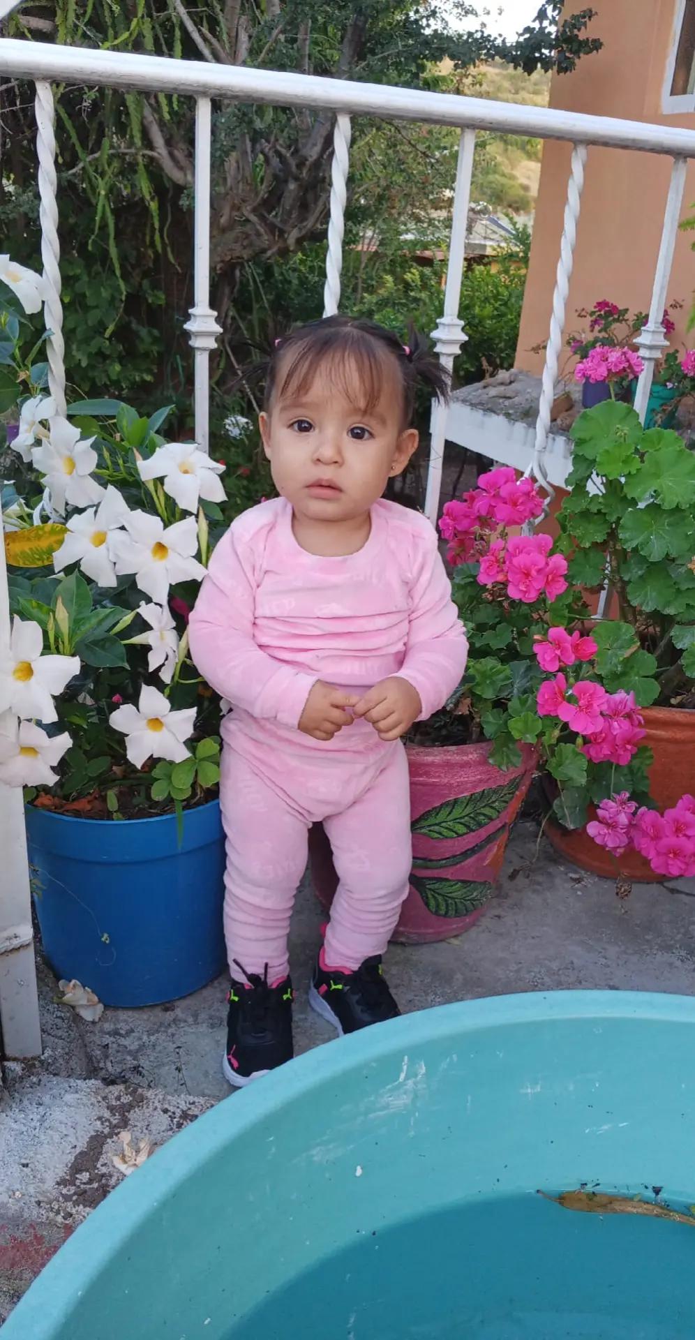 @Reyes Cedillo Gera