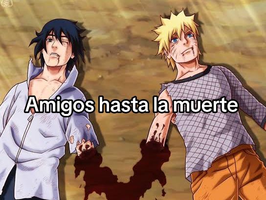@starlight_salva