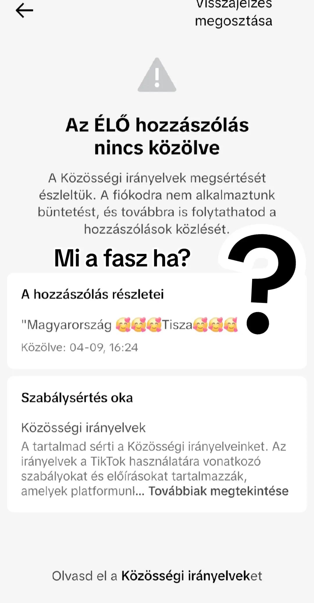@KOLTAY.Z