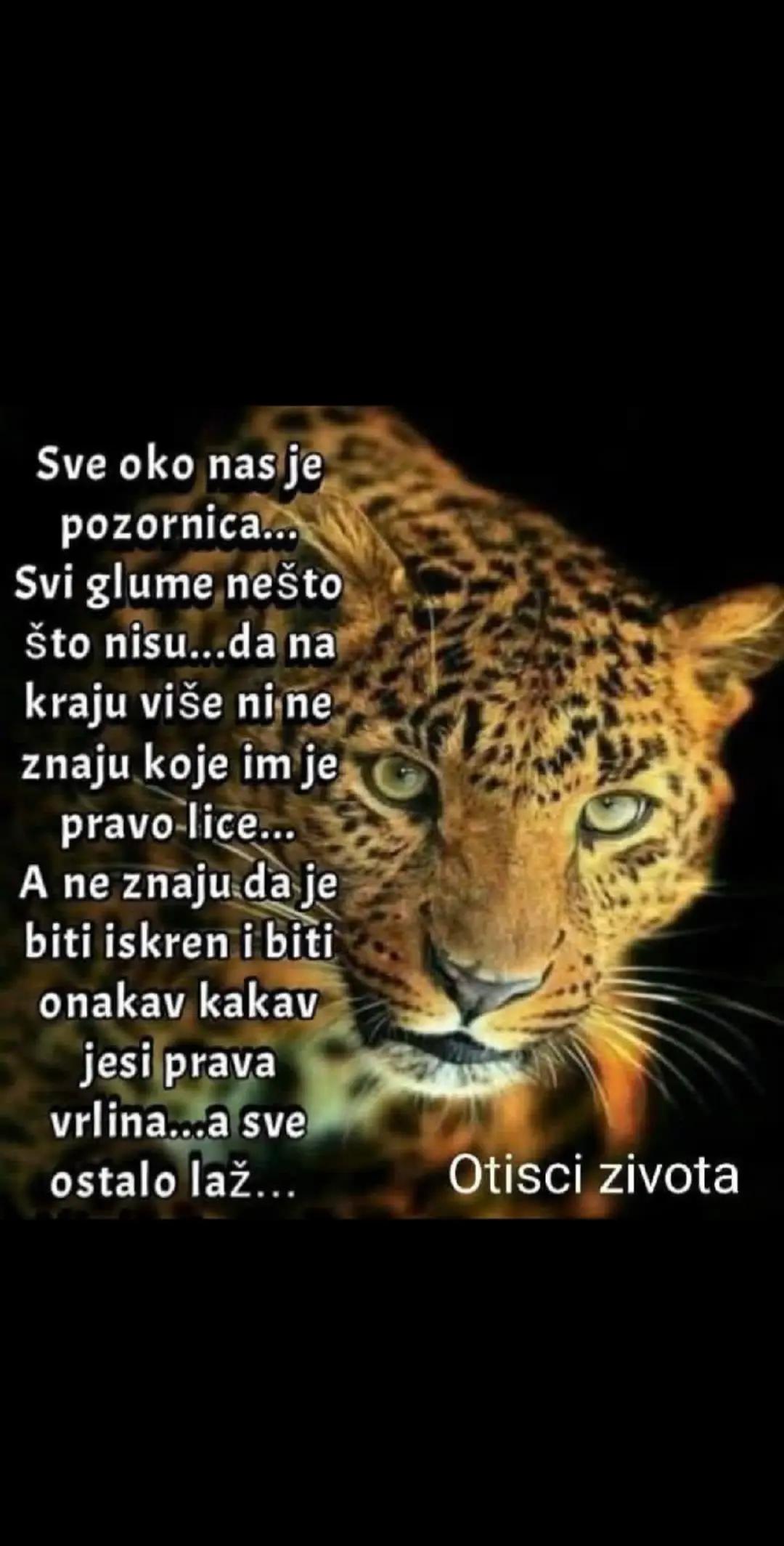 @sve se dešava sa razlogom