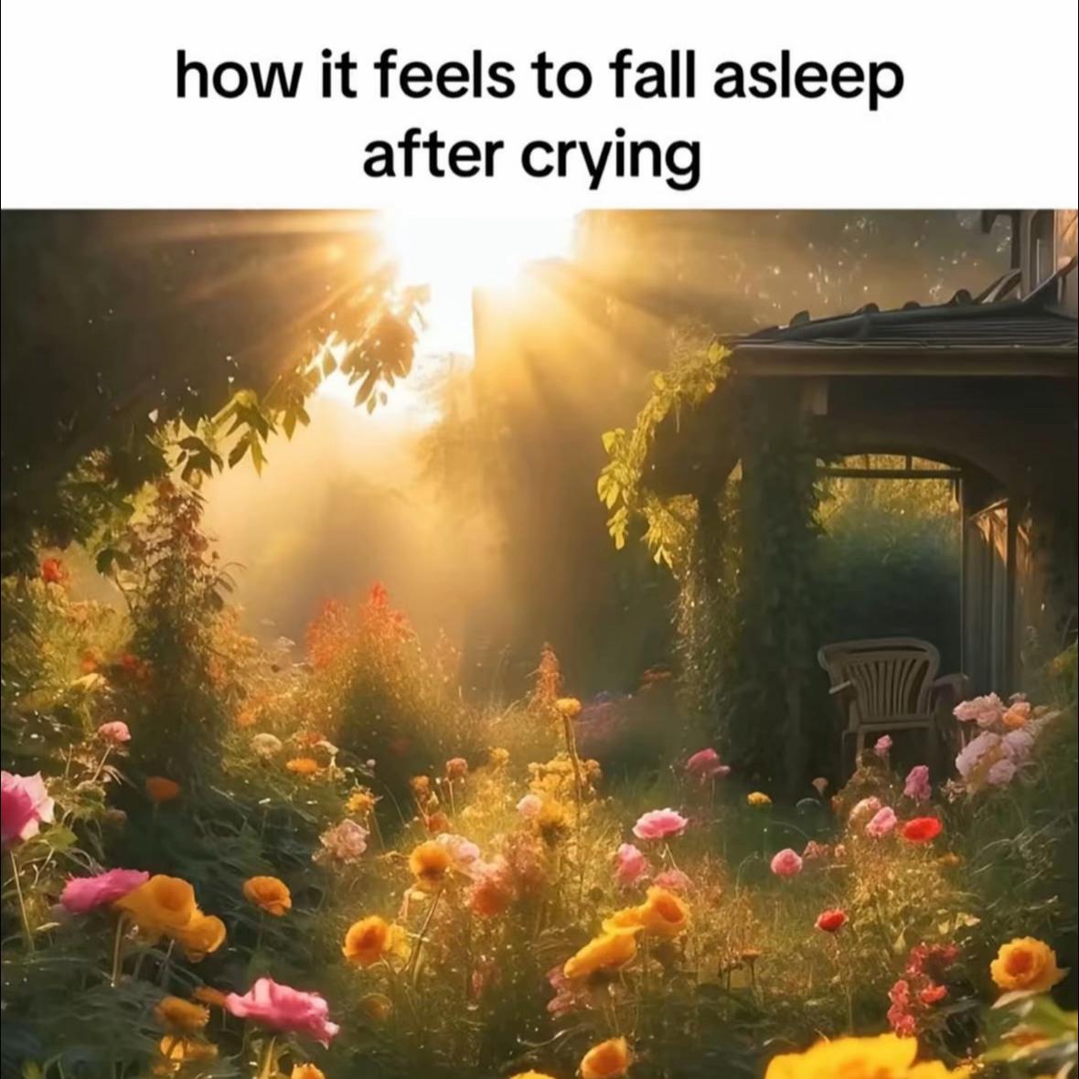 @𝗞𝗜𝗧𝗧𝗬 ౨ৎ