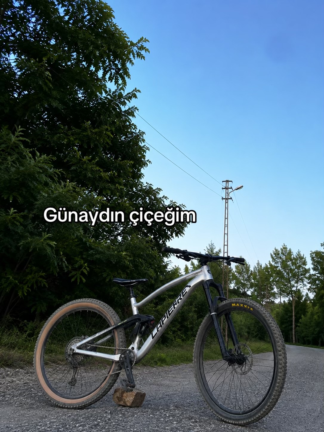 @Ali