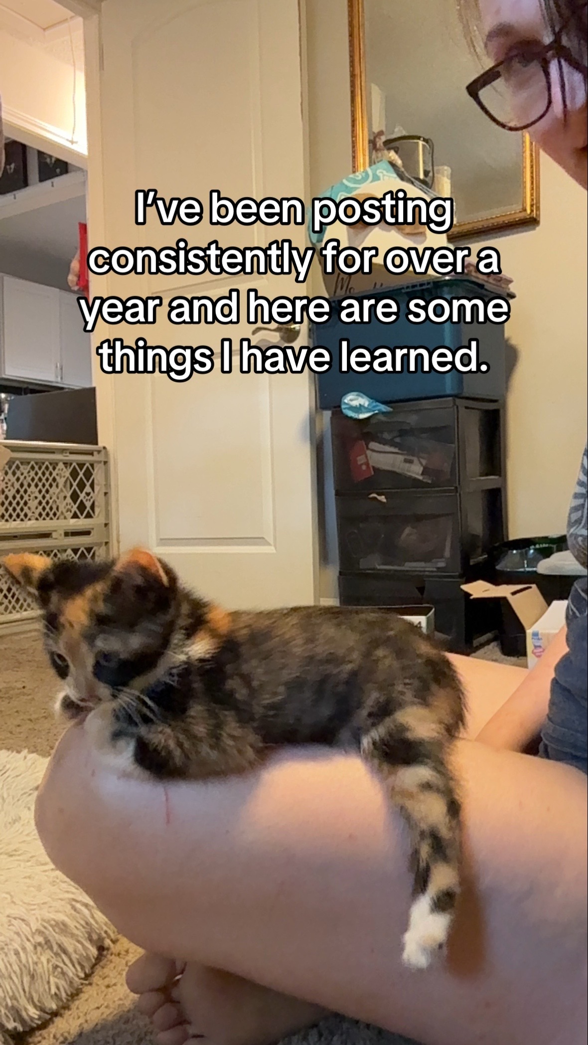 @Chaos and Cats