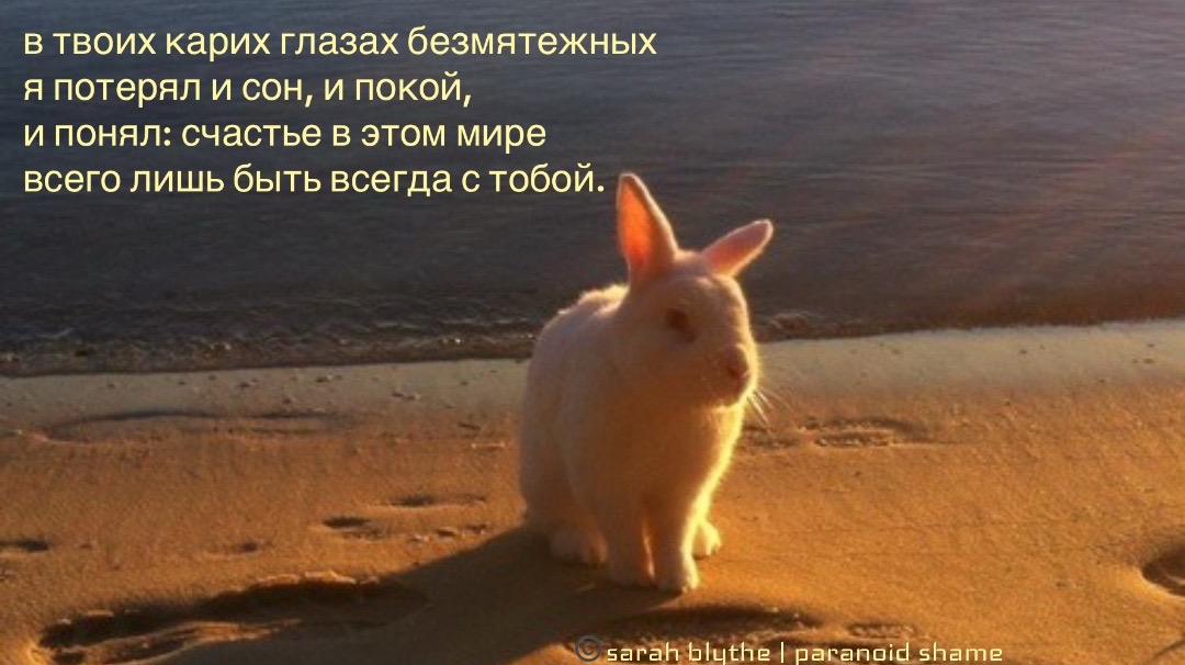 @𝗉𝖺𝗋𝖺𝗇𝗈𝗂𝖽 𝗌𝗁𝖺𝗆𝖾