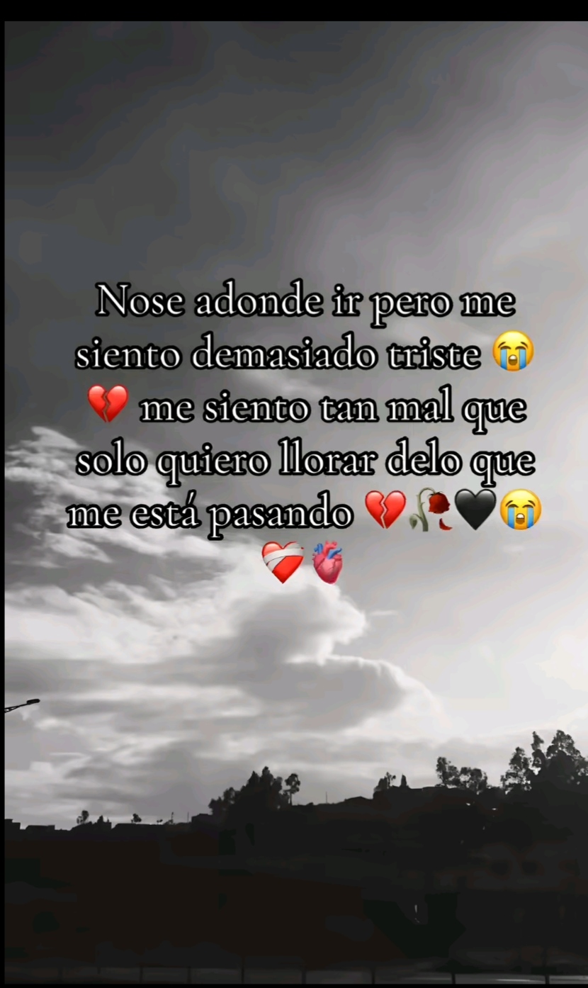 @Viridiana💛