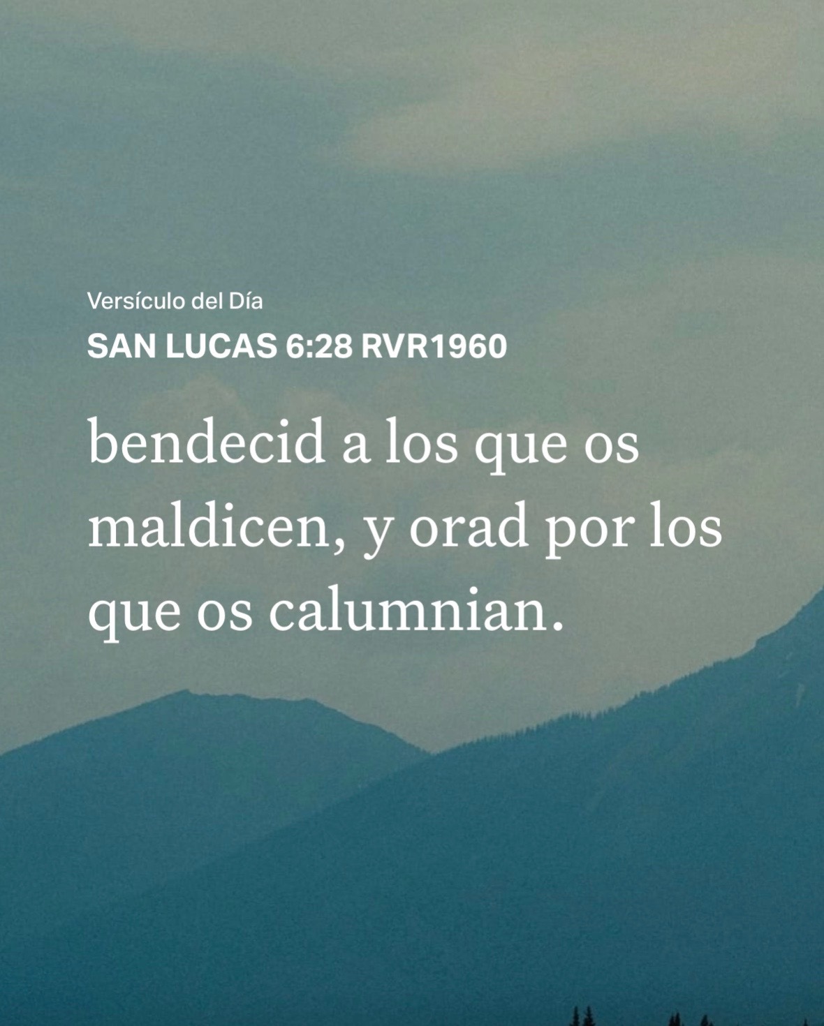 @Irma Hern&aacute;ndez