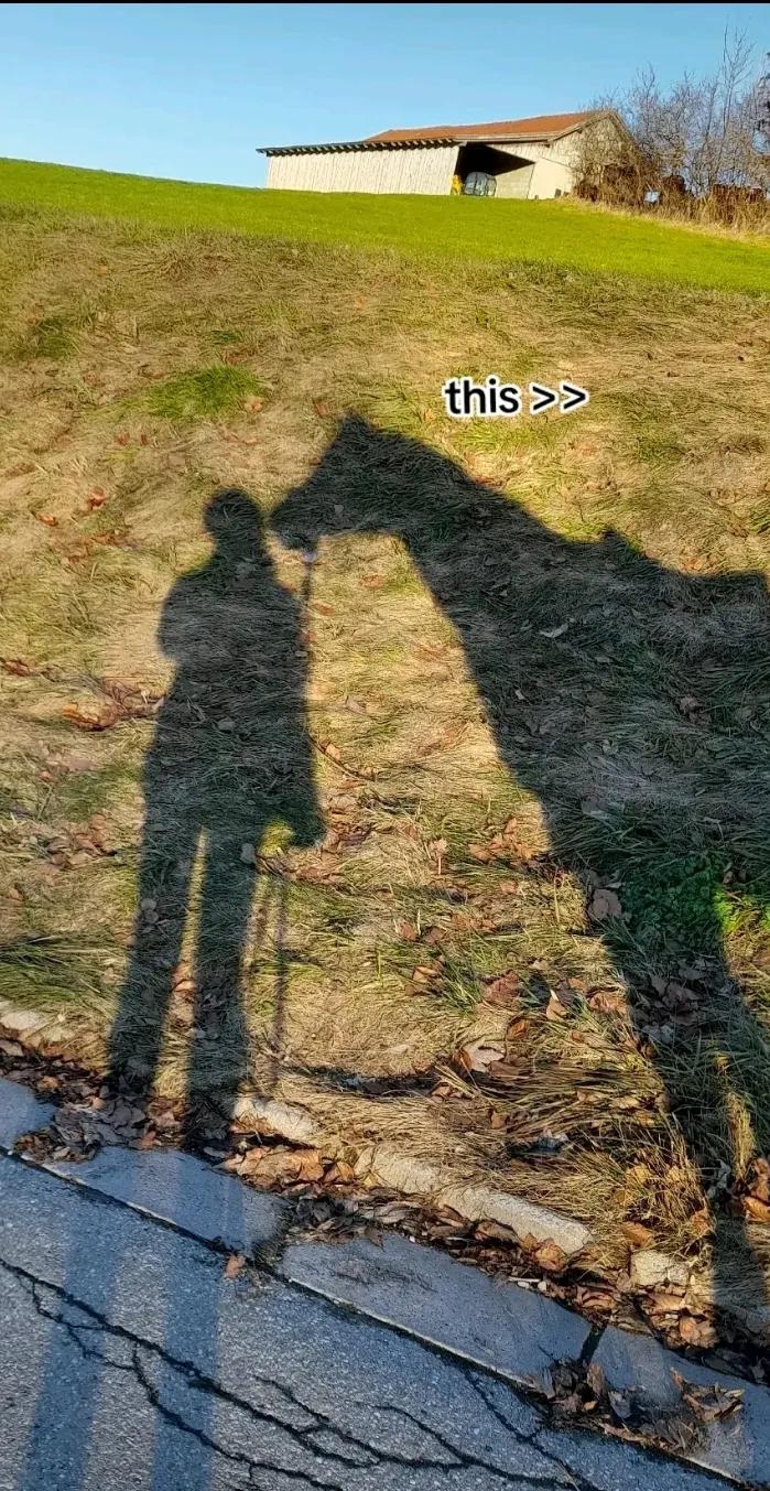 @🏇🏻❤️