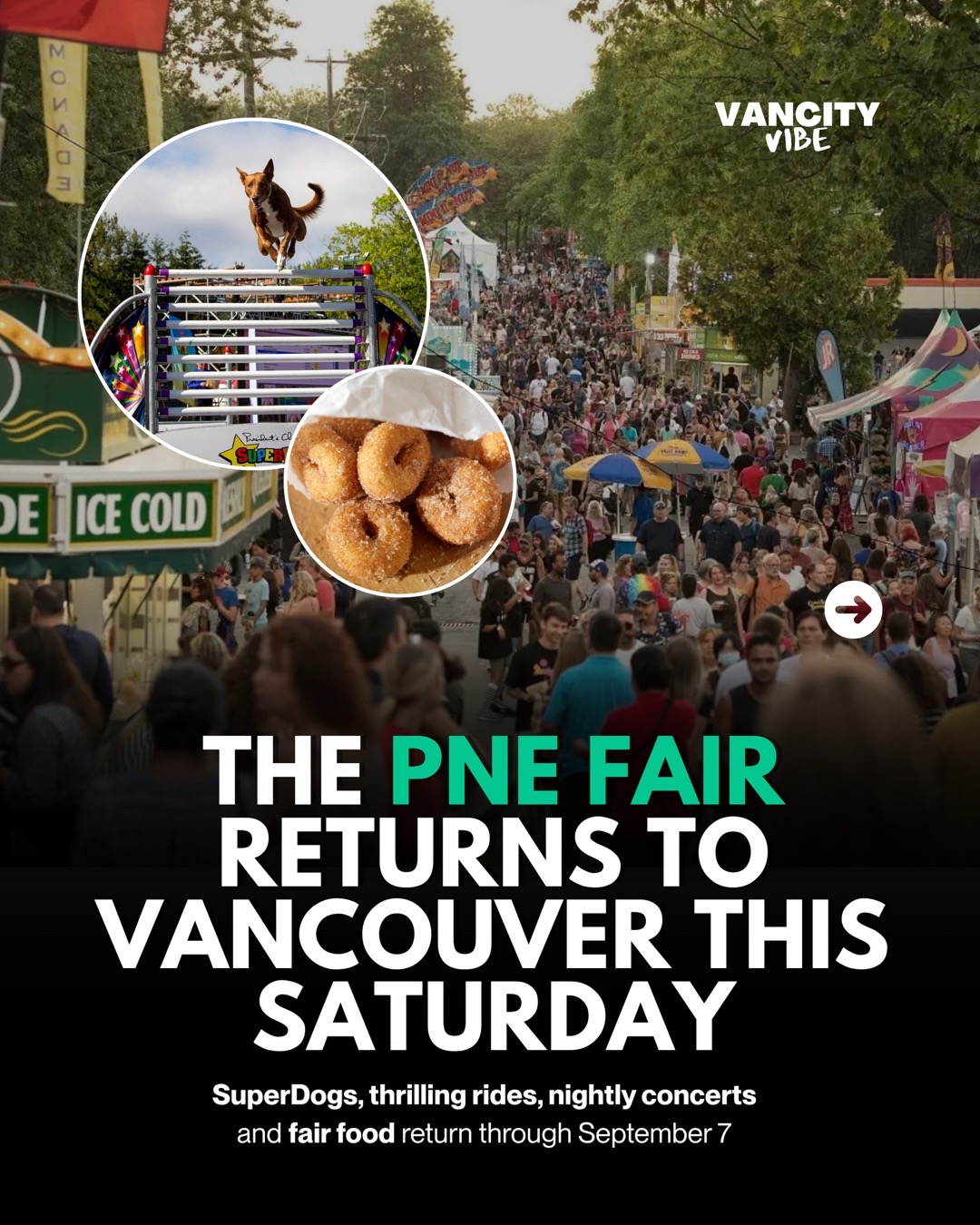 @vancityvibe
