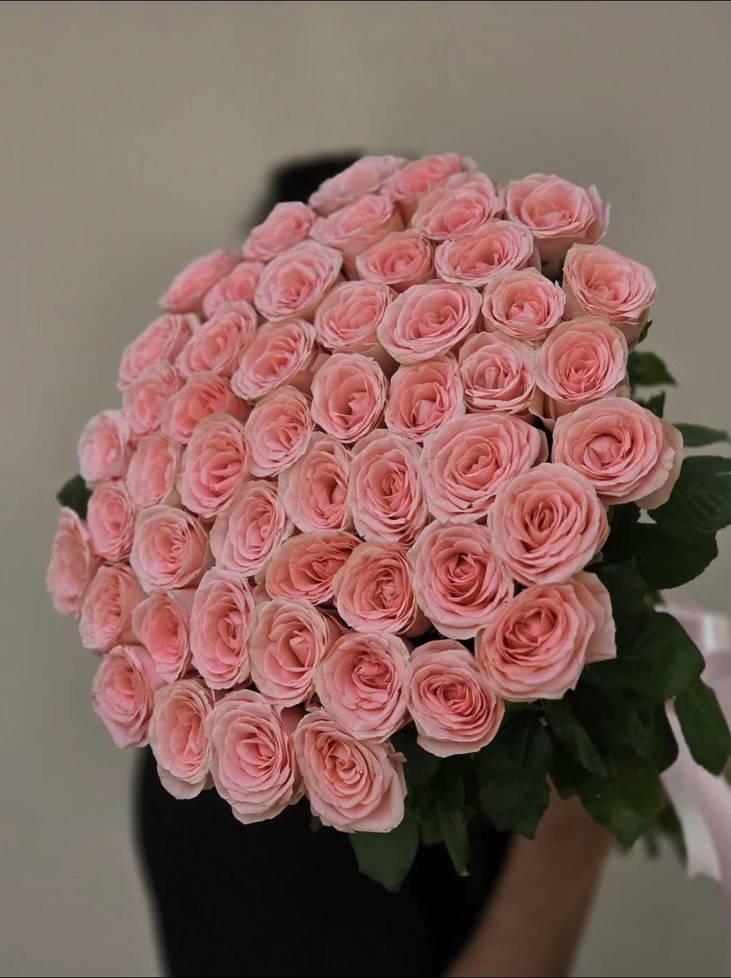 @Aliyev Sabuhi