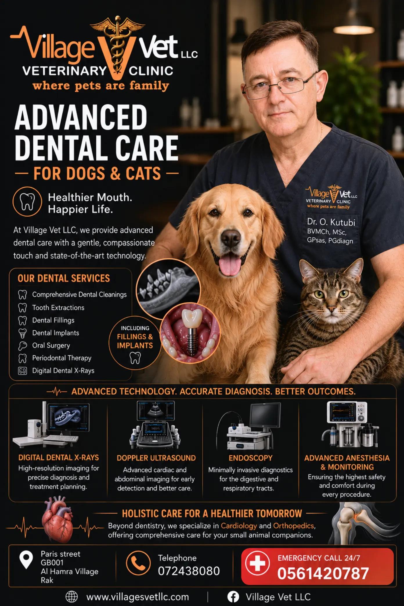 @VillagevVet LLC