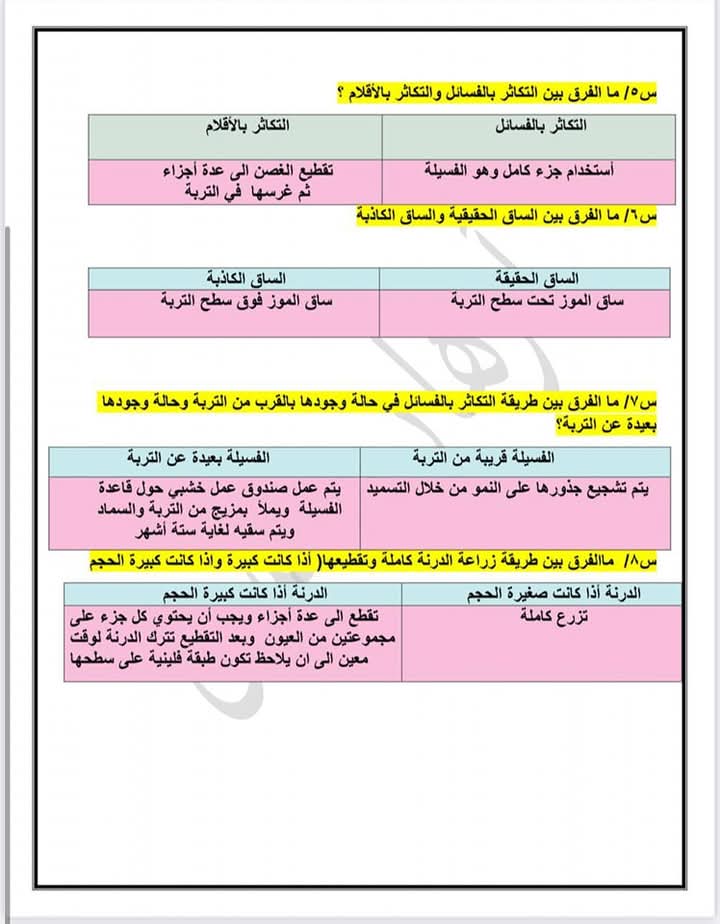 @صف سادس ابتدائي