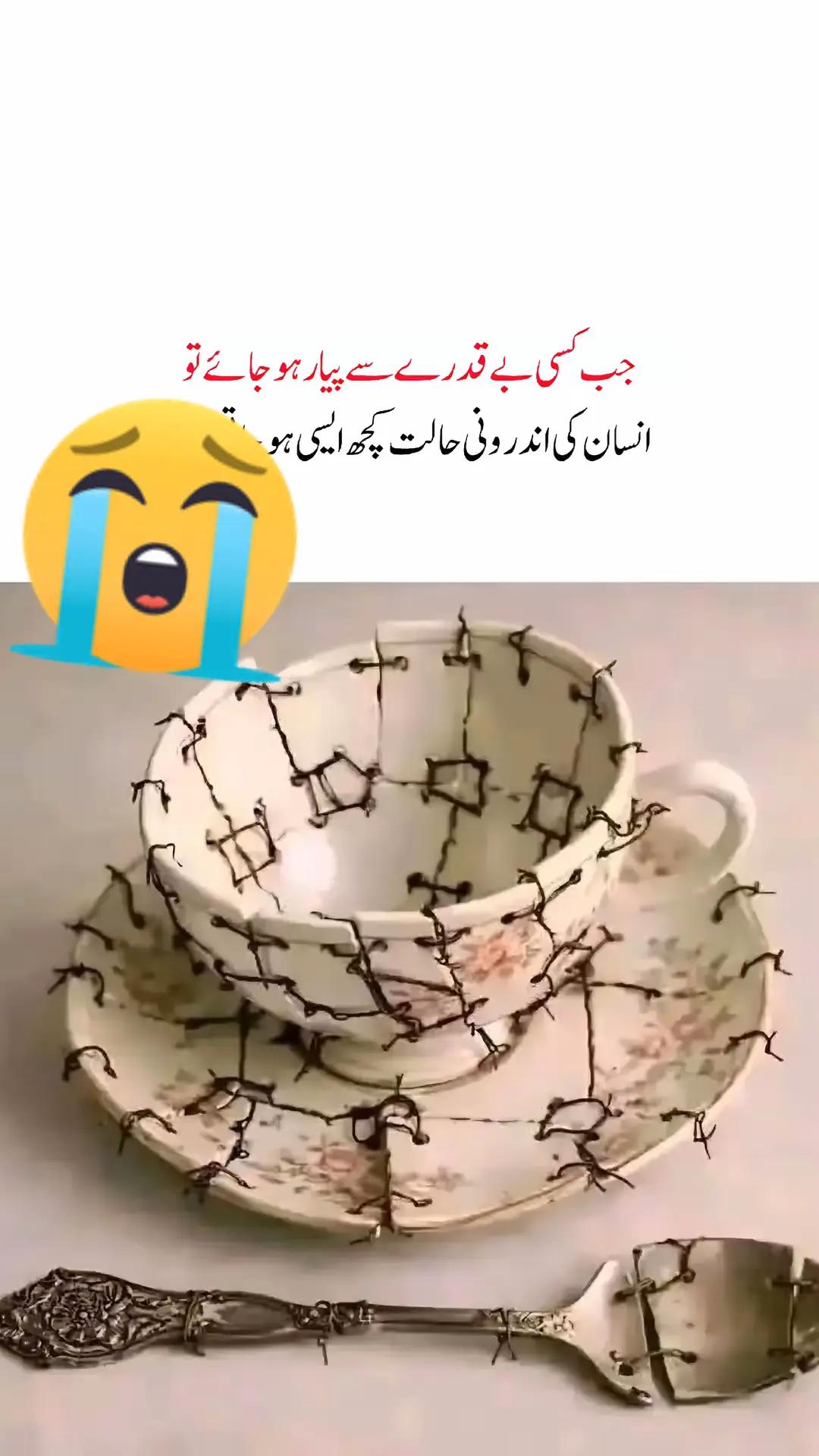 @Punjab di sherani ๐ฆ