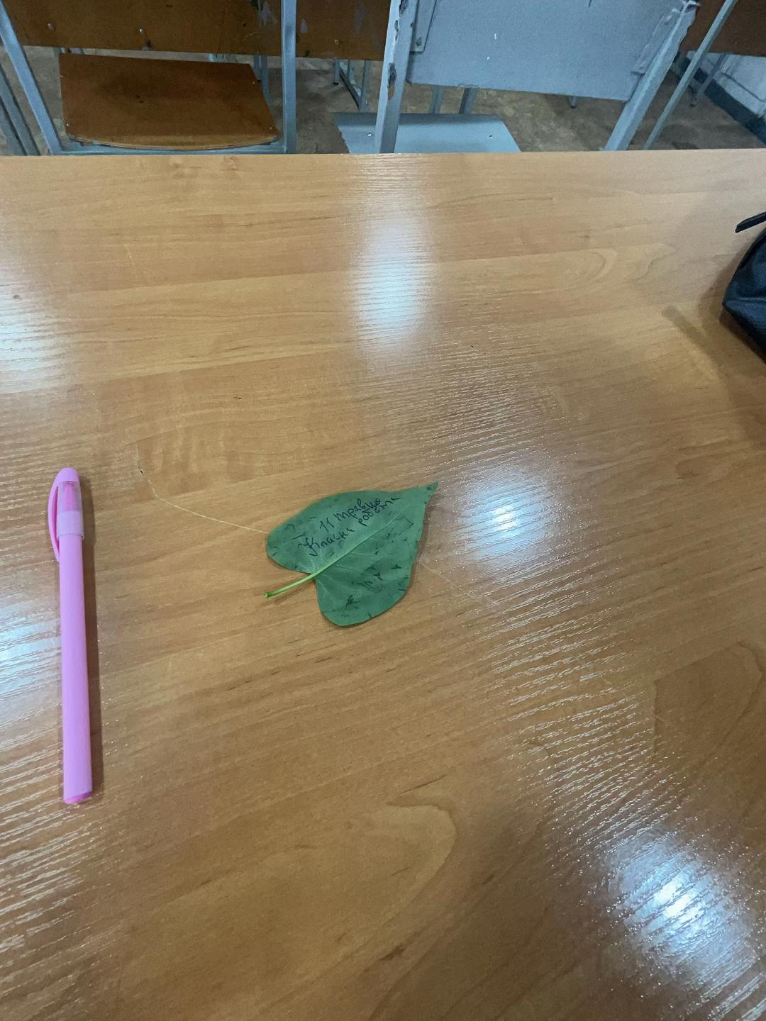 @моль