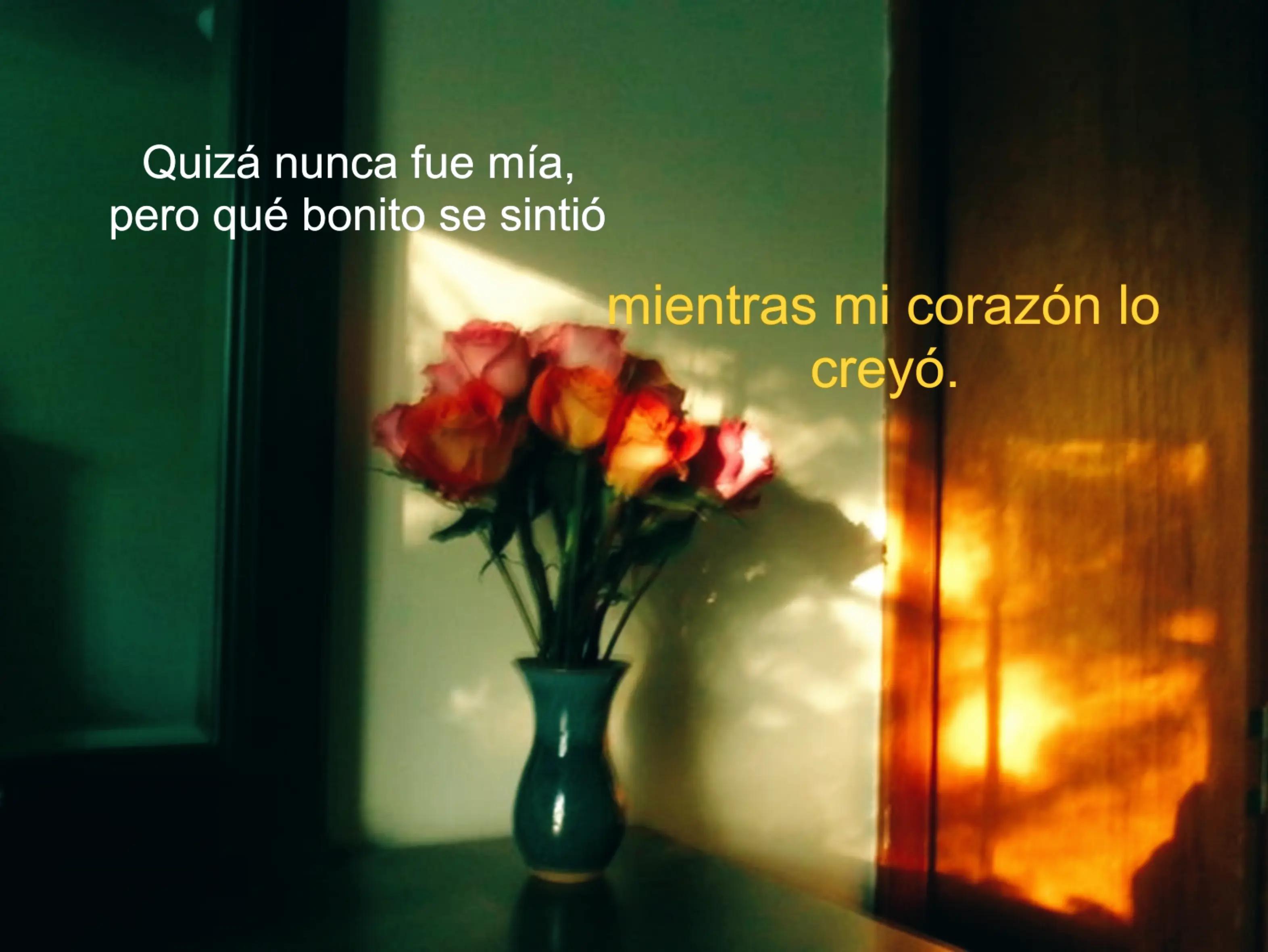 @Aarón