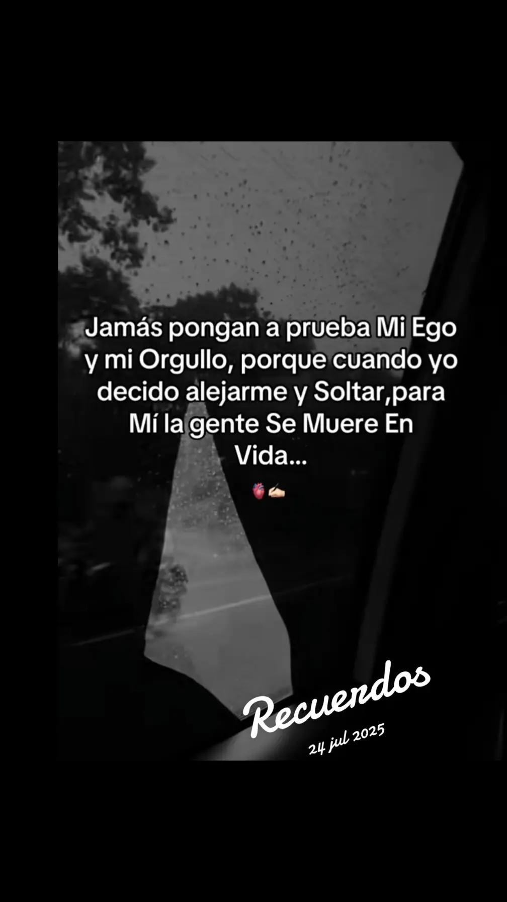 @Pao 🌻🍀