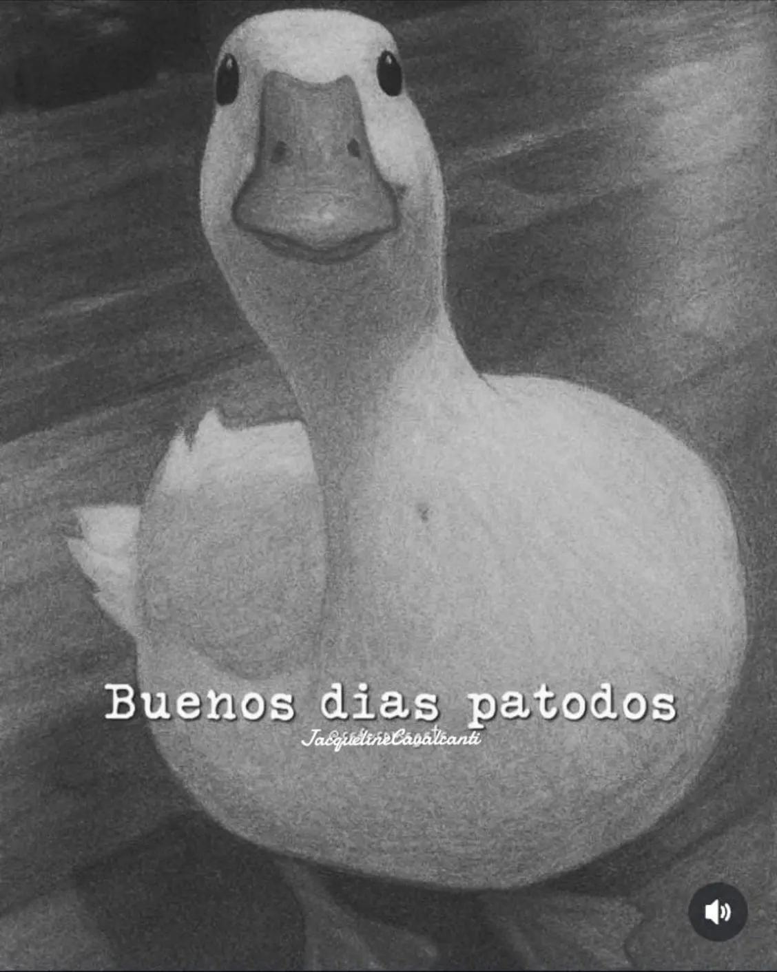 @Jacqueline Cavalcanti