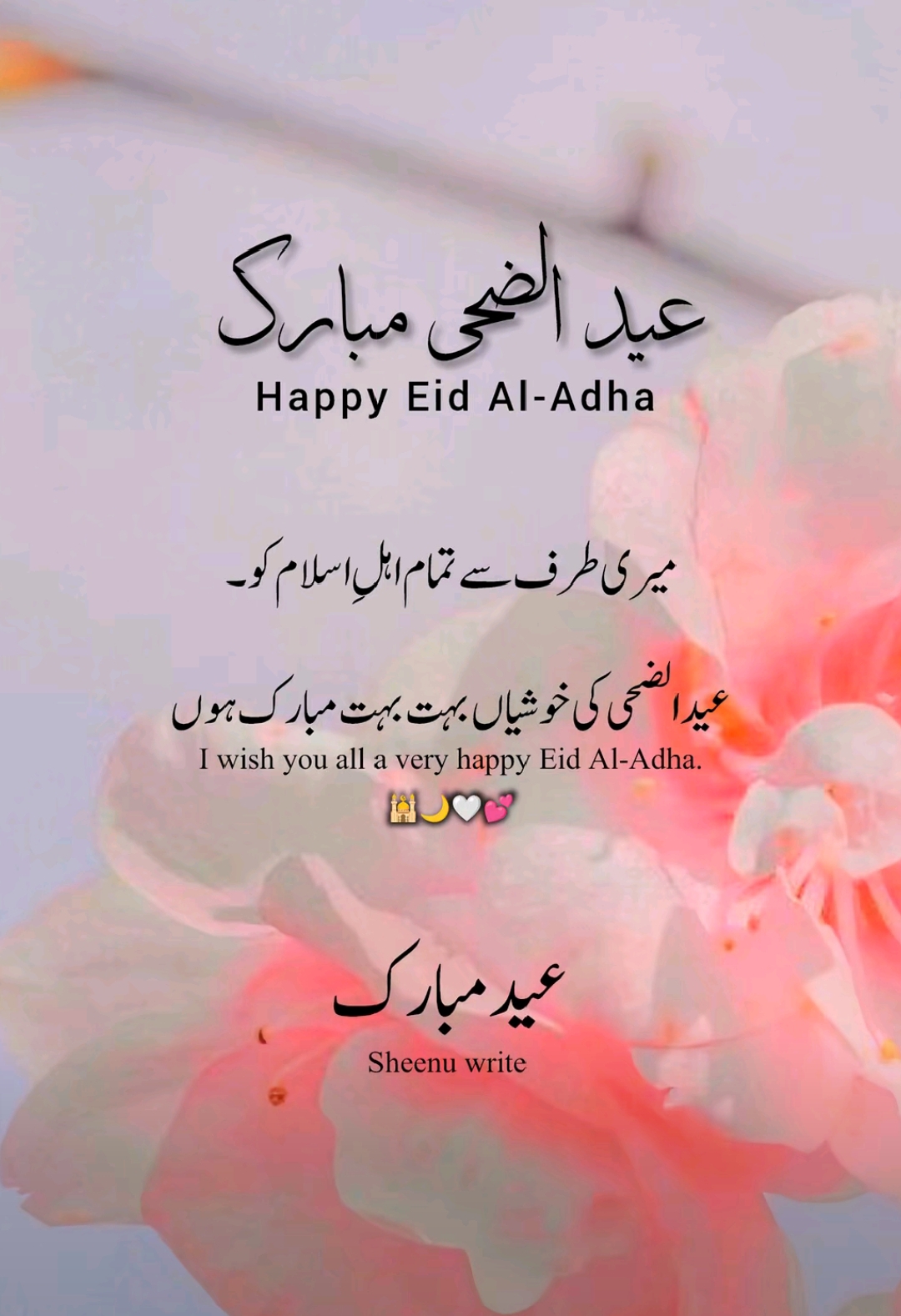 @صاحبہ 🔛🔝