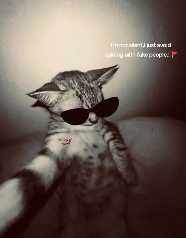 @🧃