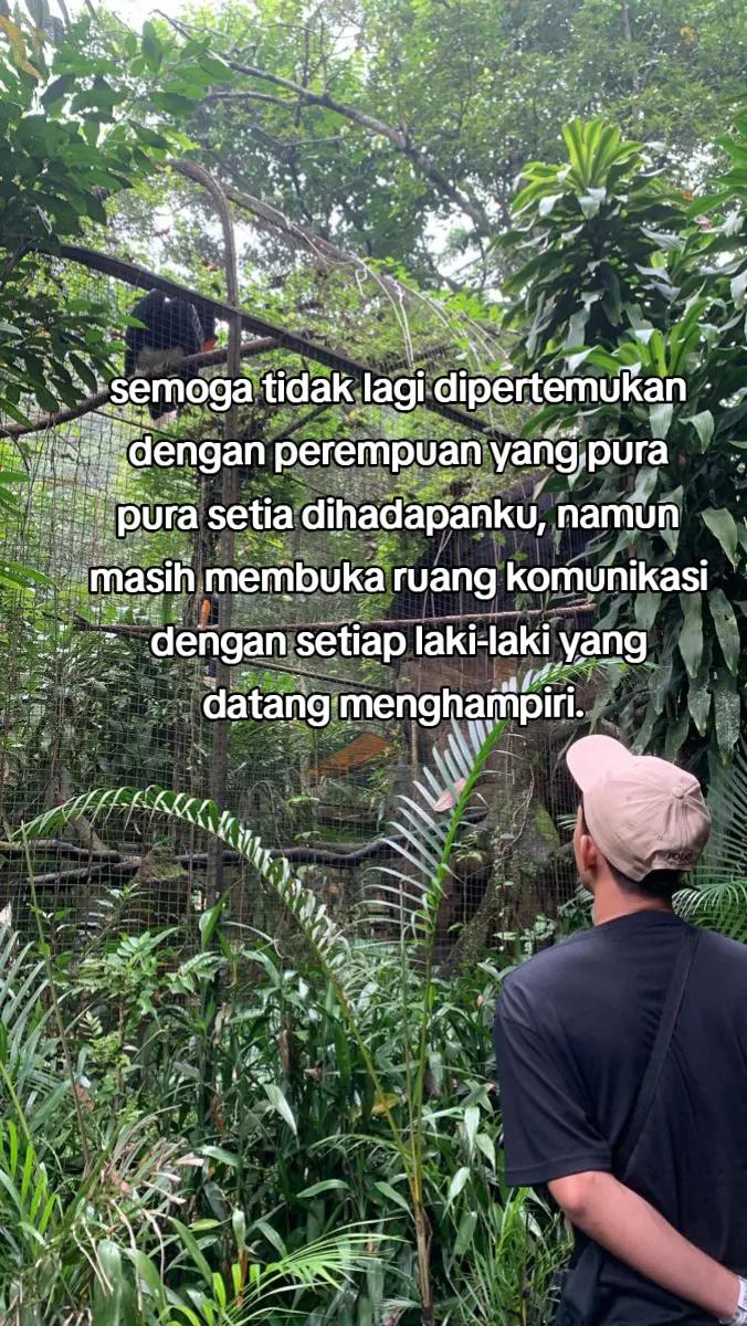@_DESEMBER