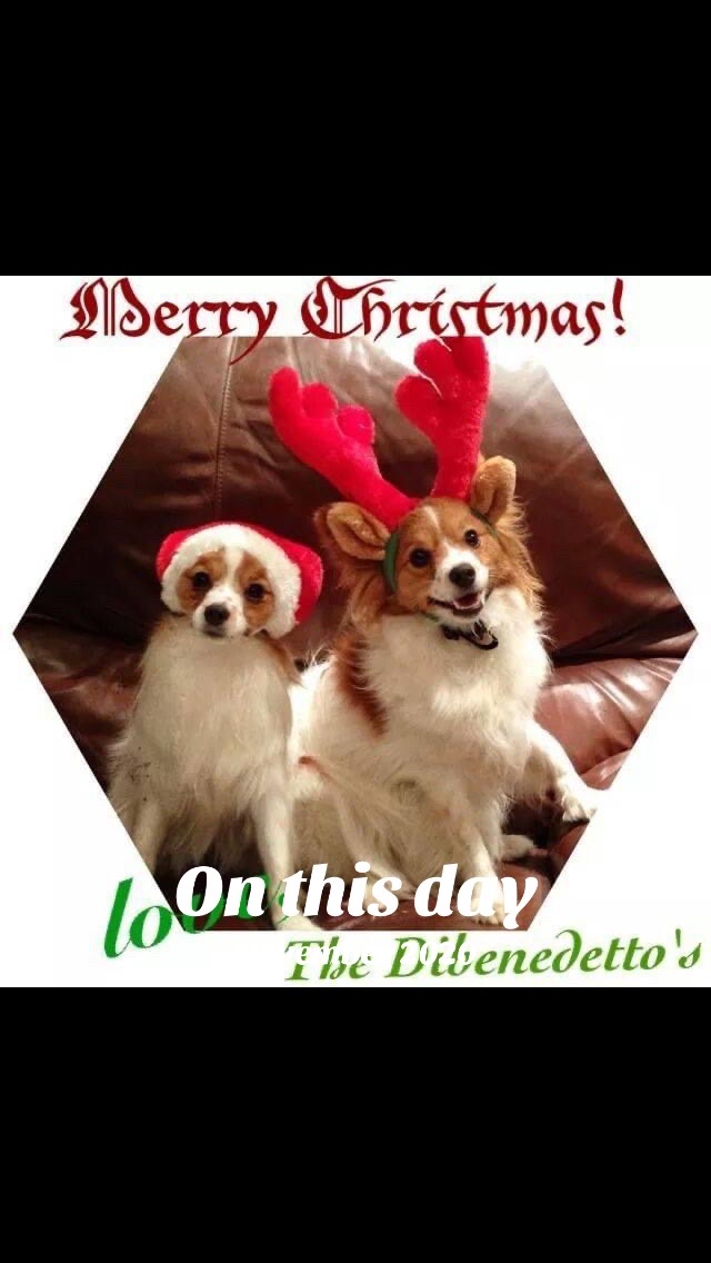 @Valentina Dibenedetto