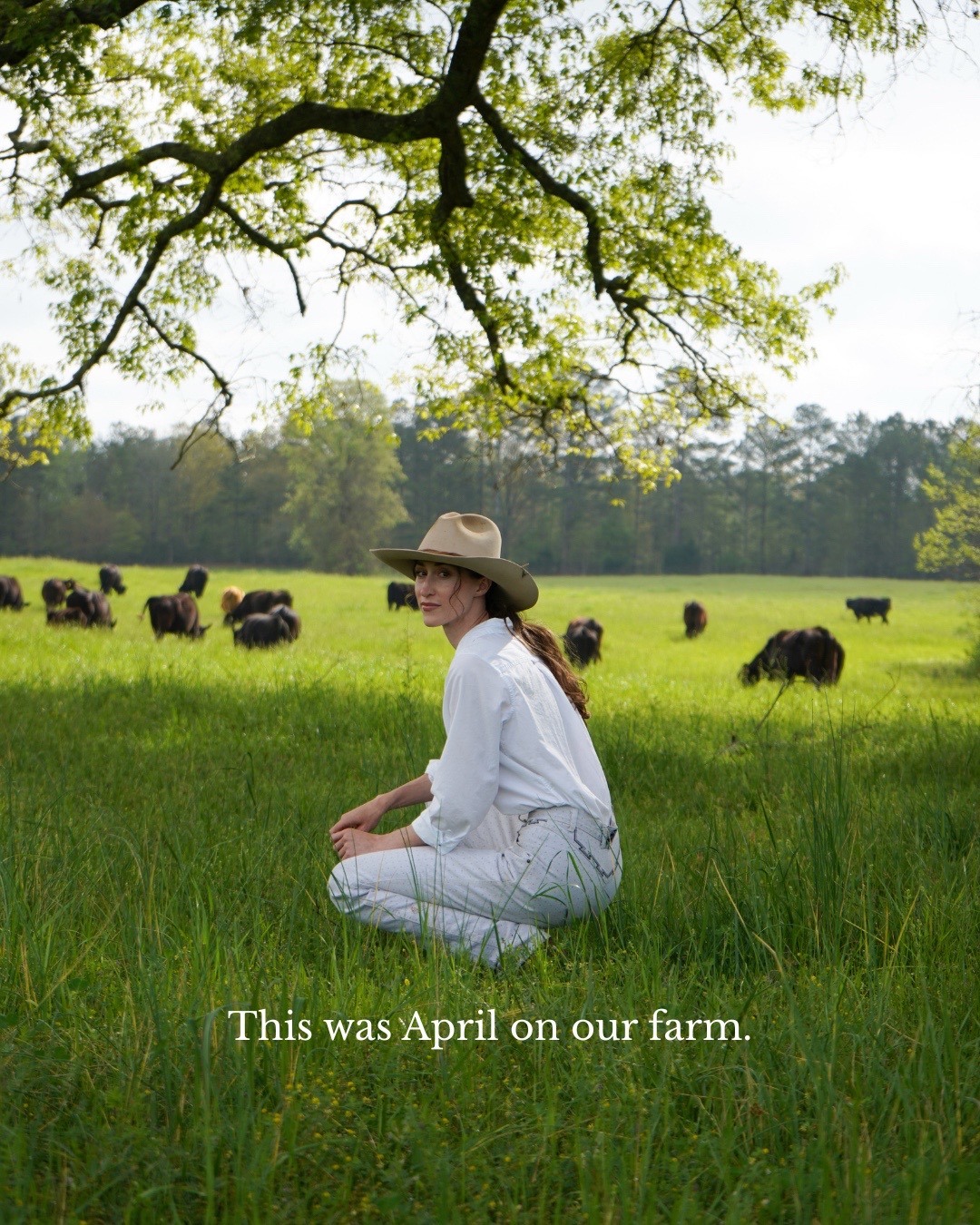 @Lily Hill Farm