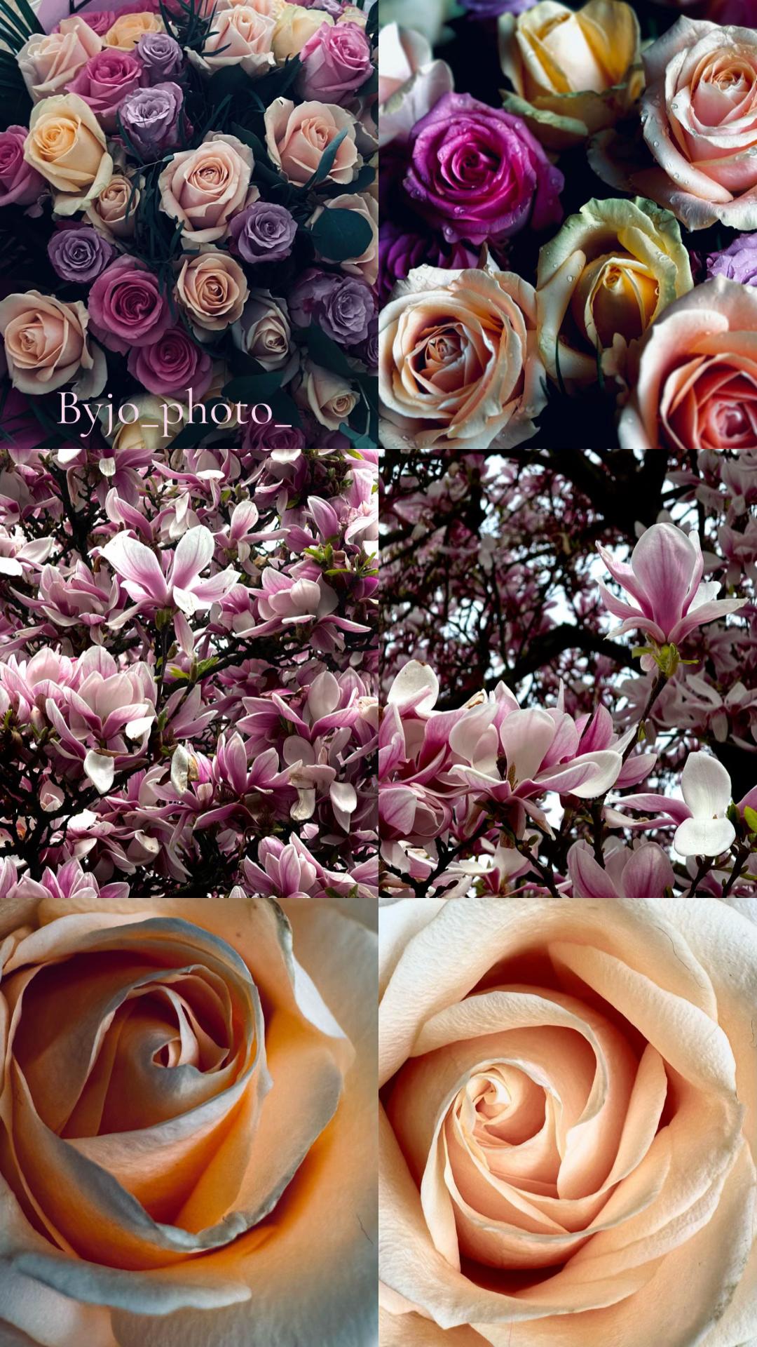 @byjo_photo_