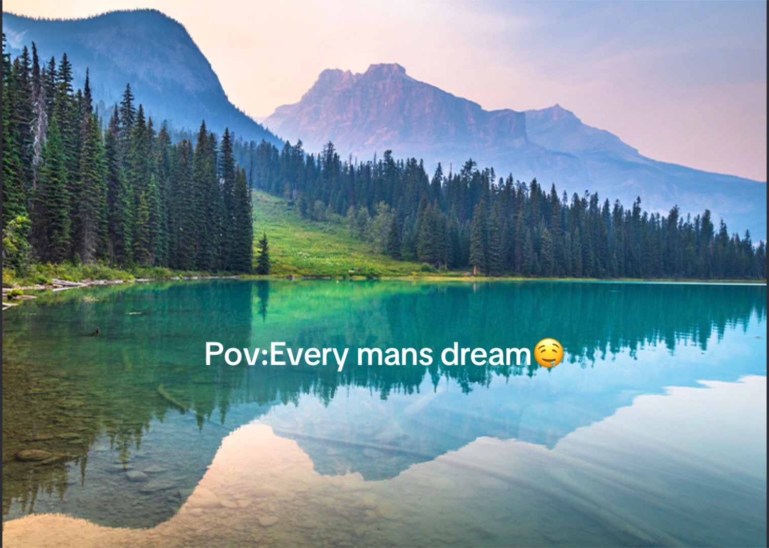 @vansh