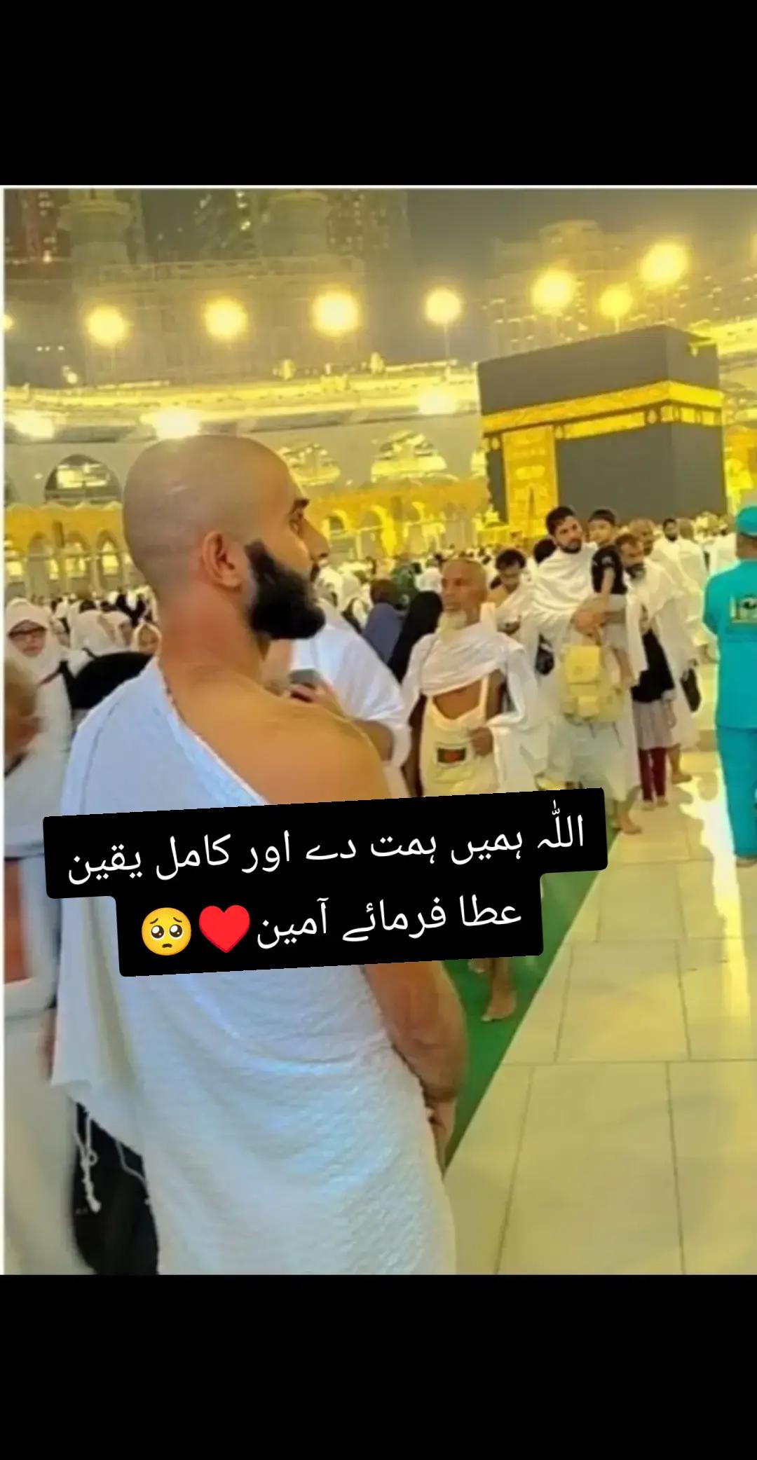 @Najeeb Warriach