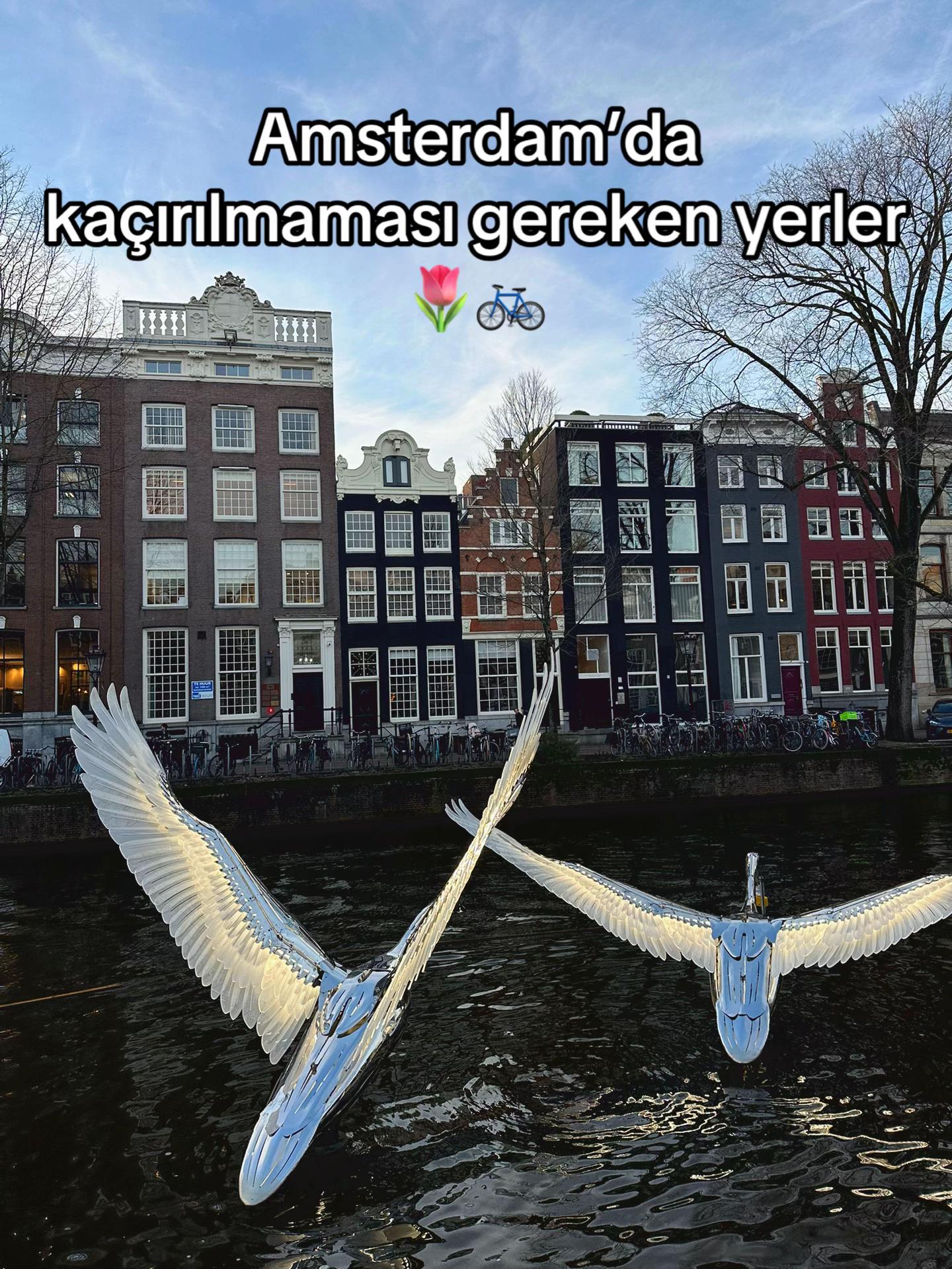 @iremdincer