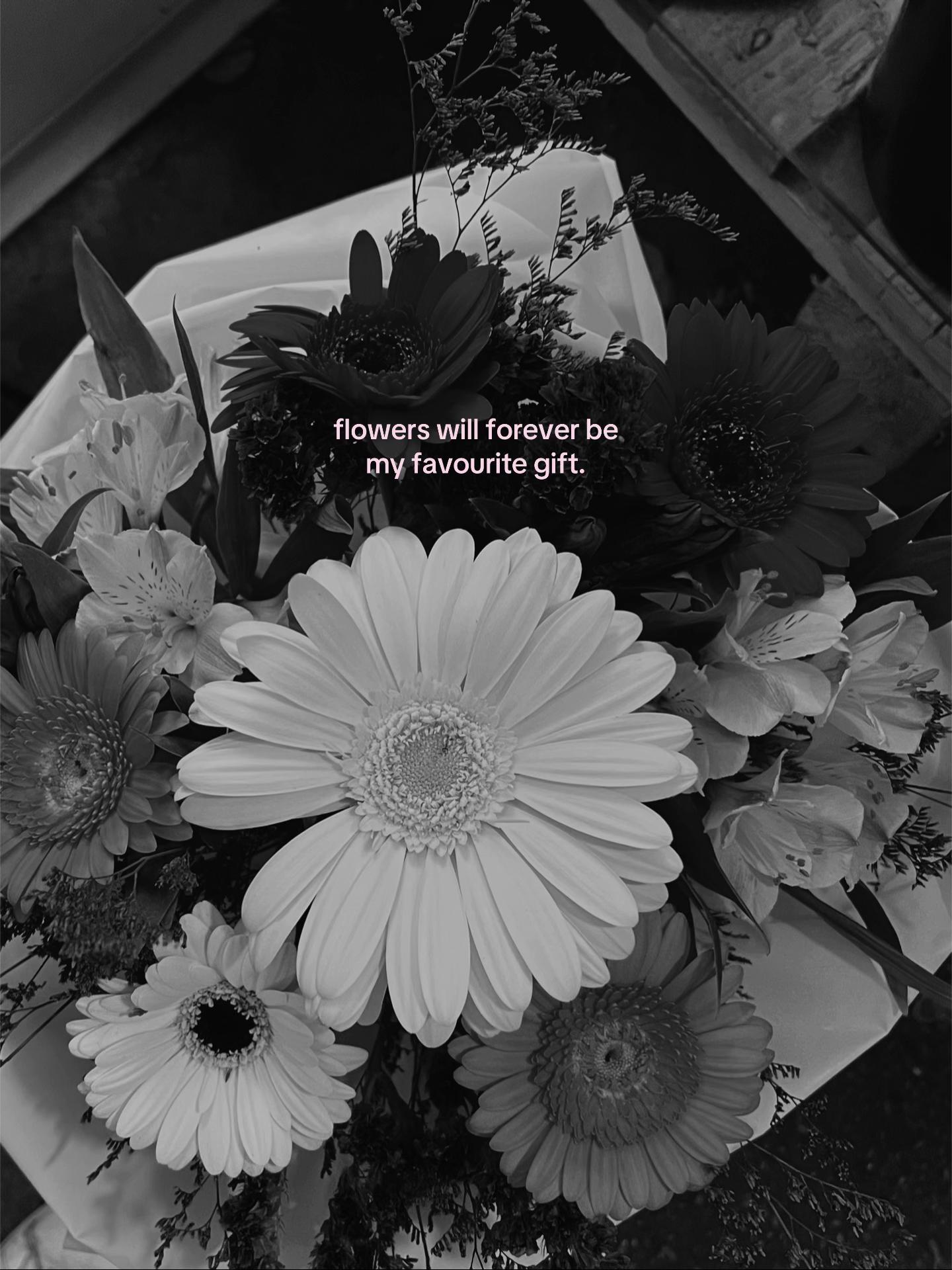 @alys🐈⬛