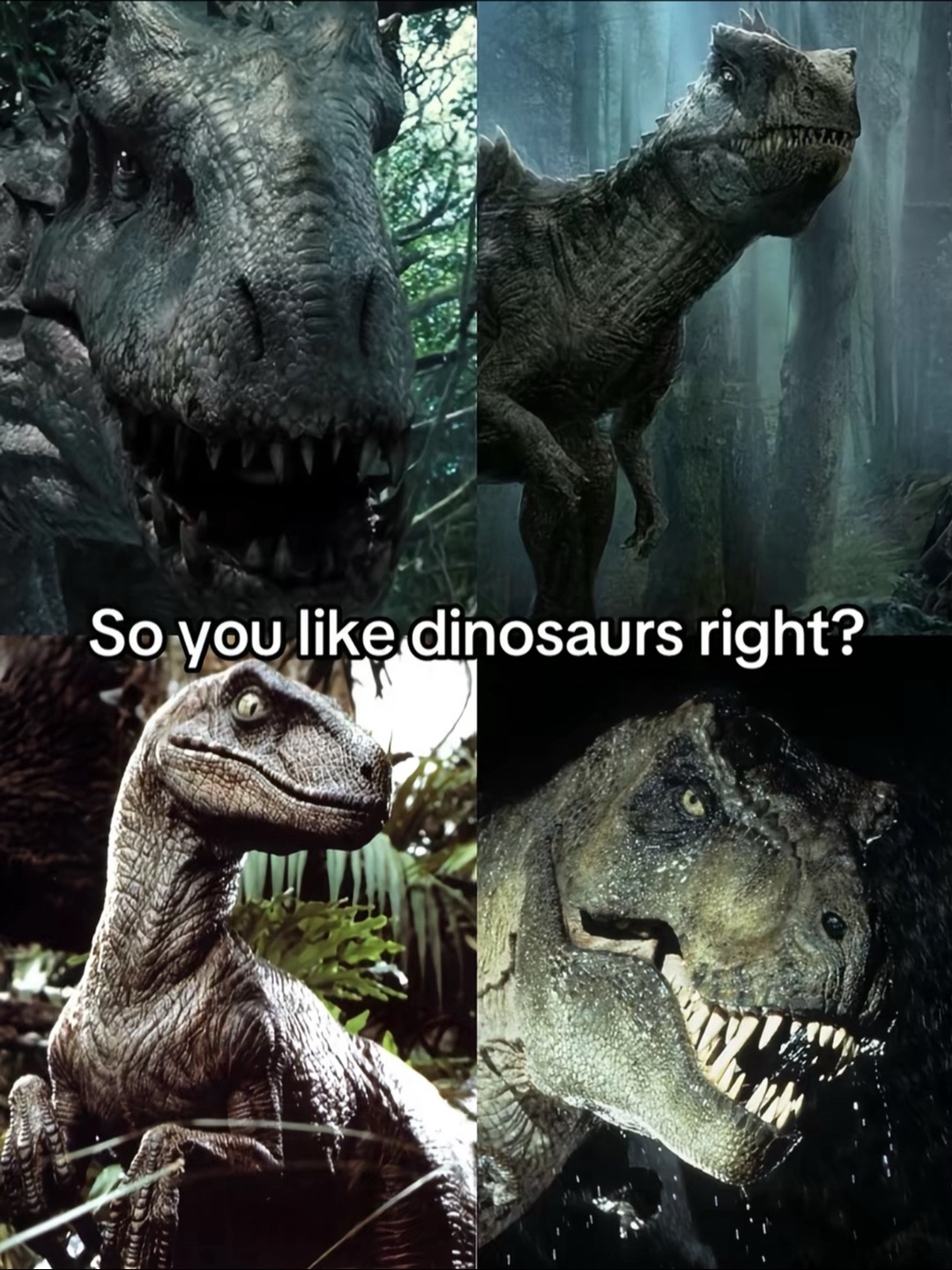 @Jurassic_creations